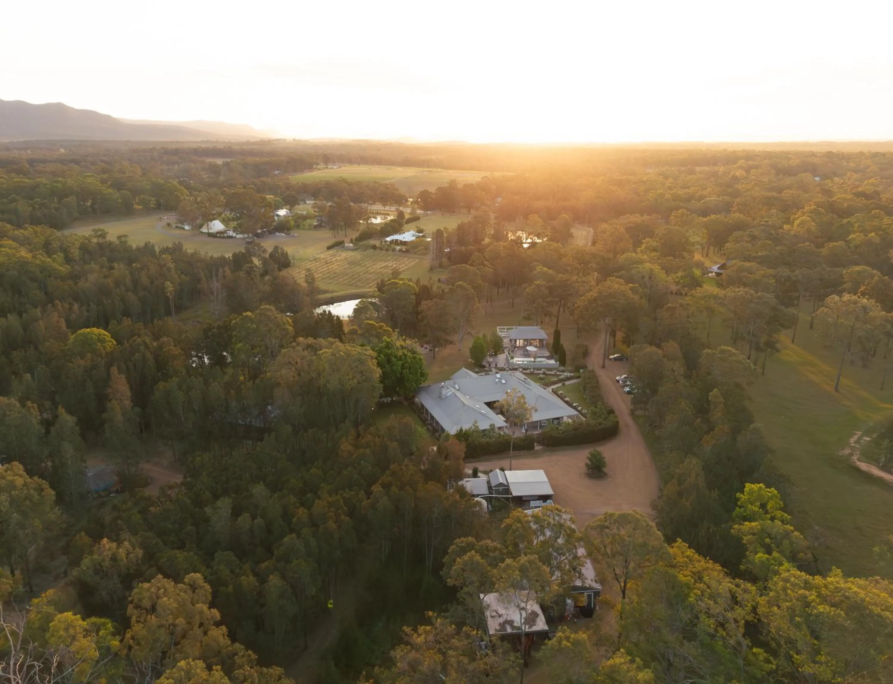 Thistle Hill Guesthouse - walk to many wineries and restaurants