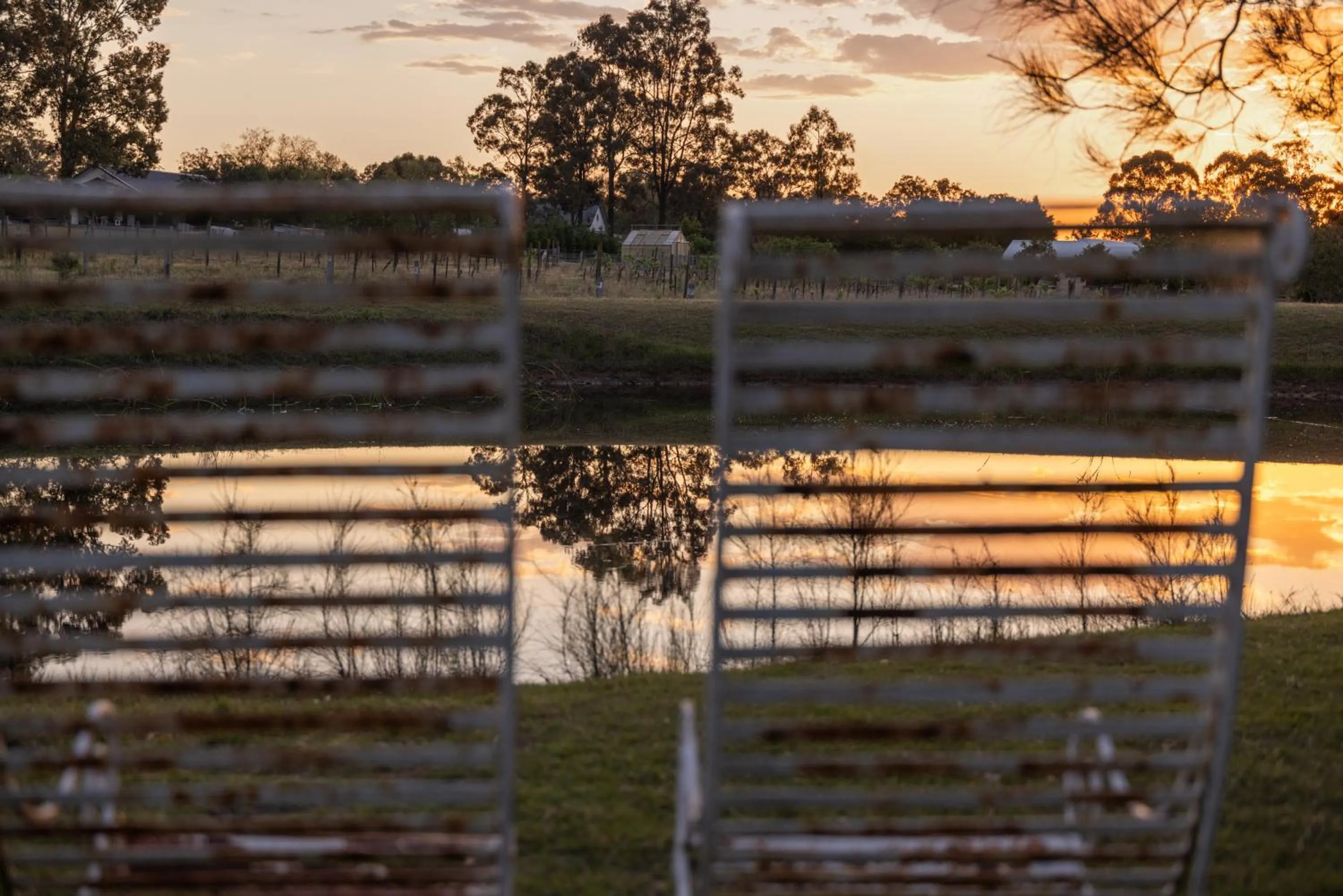 Thistle Hill Guesthouse - walk to many wineries and restaurants