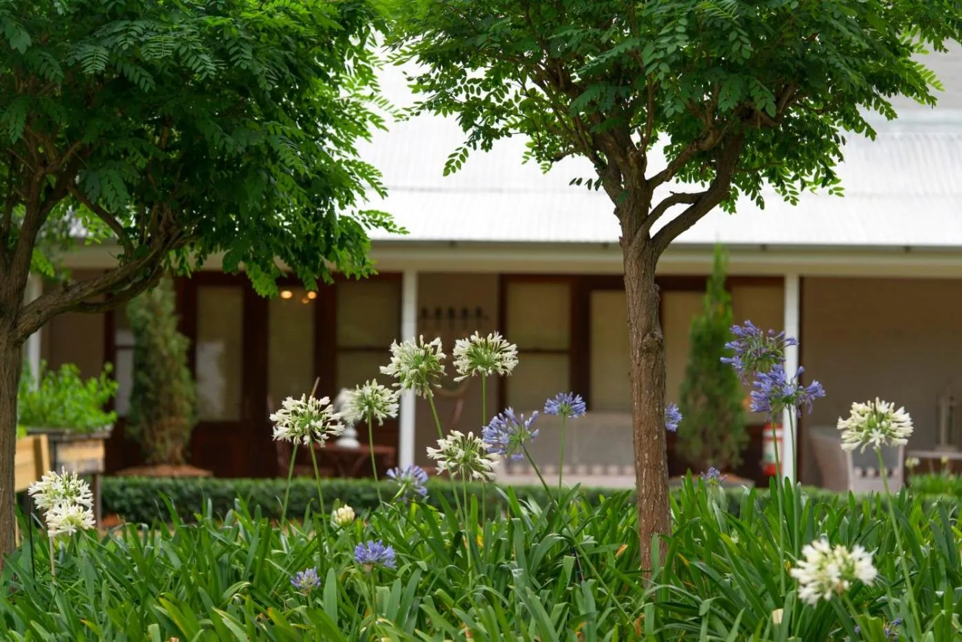 Thistle Hill Guesthouse - walk to many wineries and restaurants