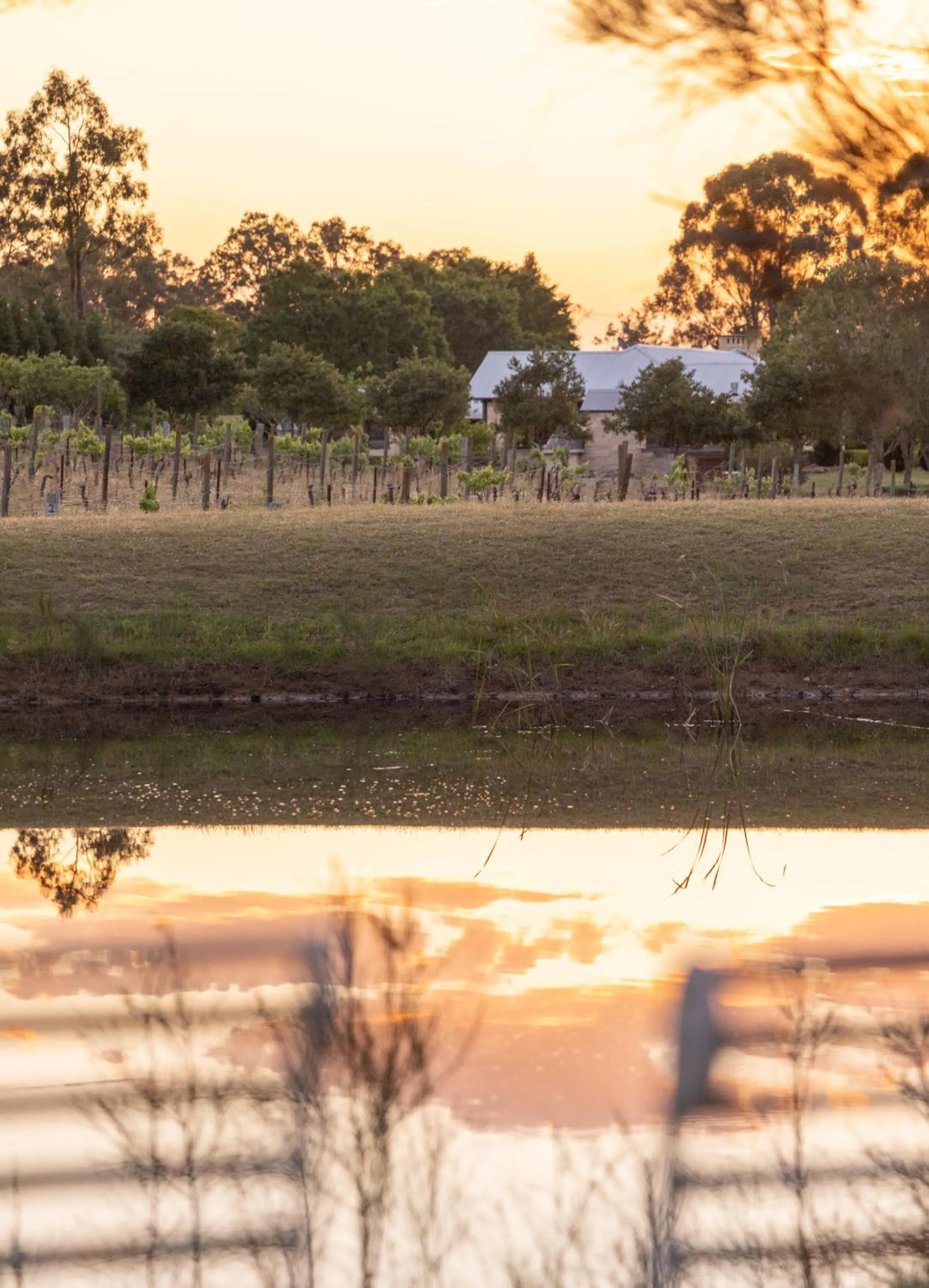 Thistle Hill Guesthouse - walk to many wineries and restaurants