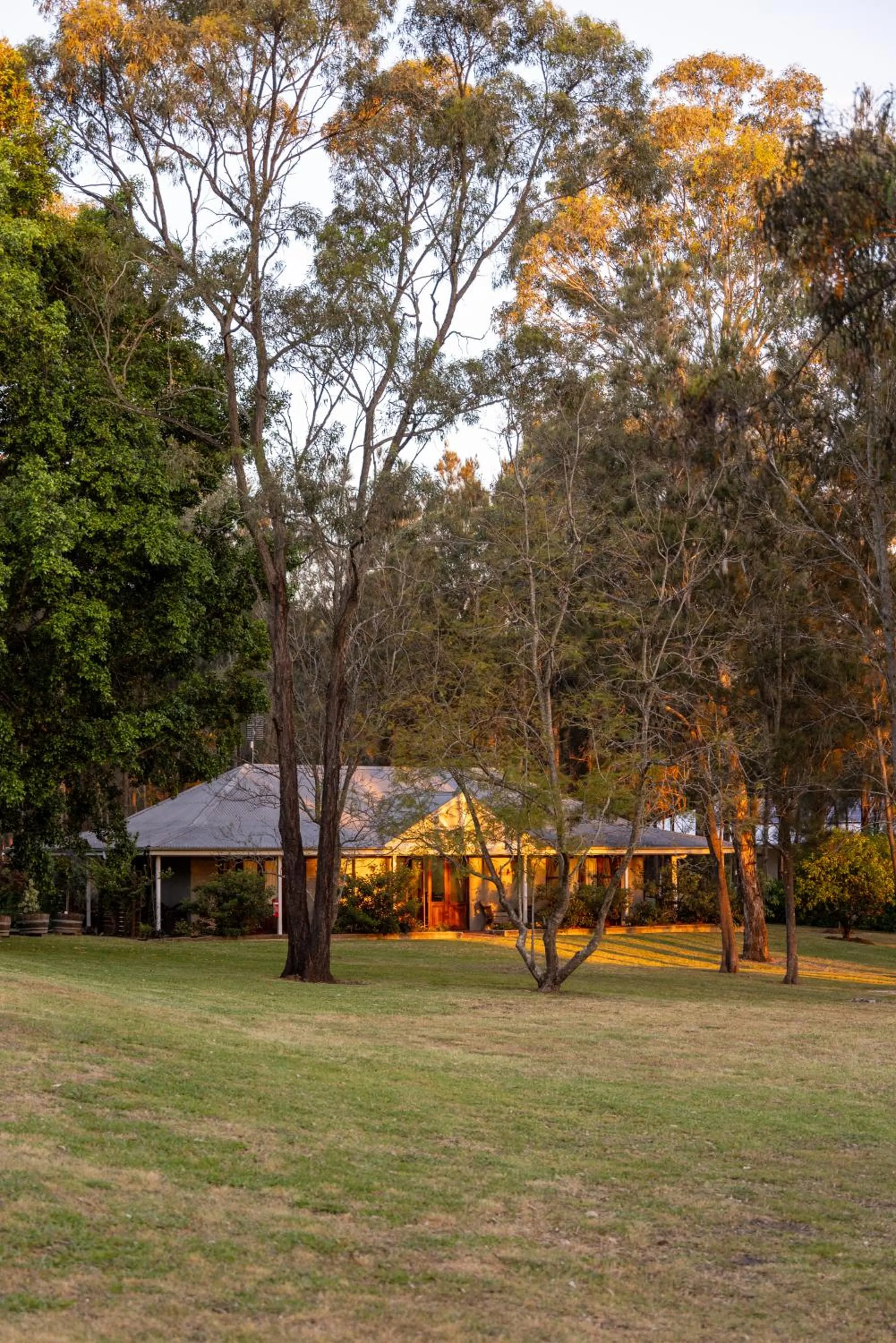 Thistle Hill Guesthouse - walk to many wineries and restaurants