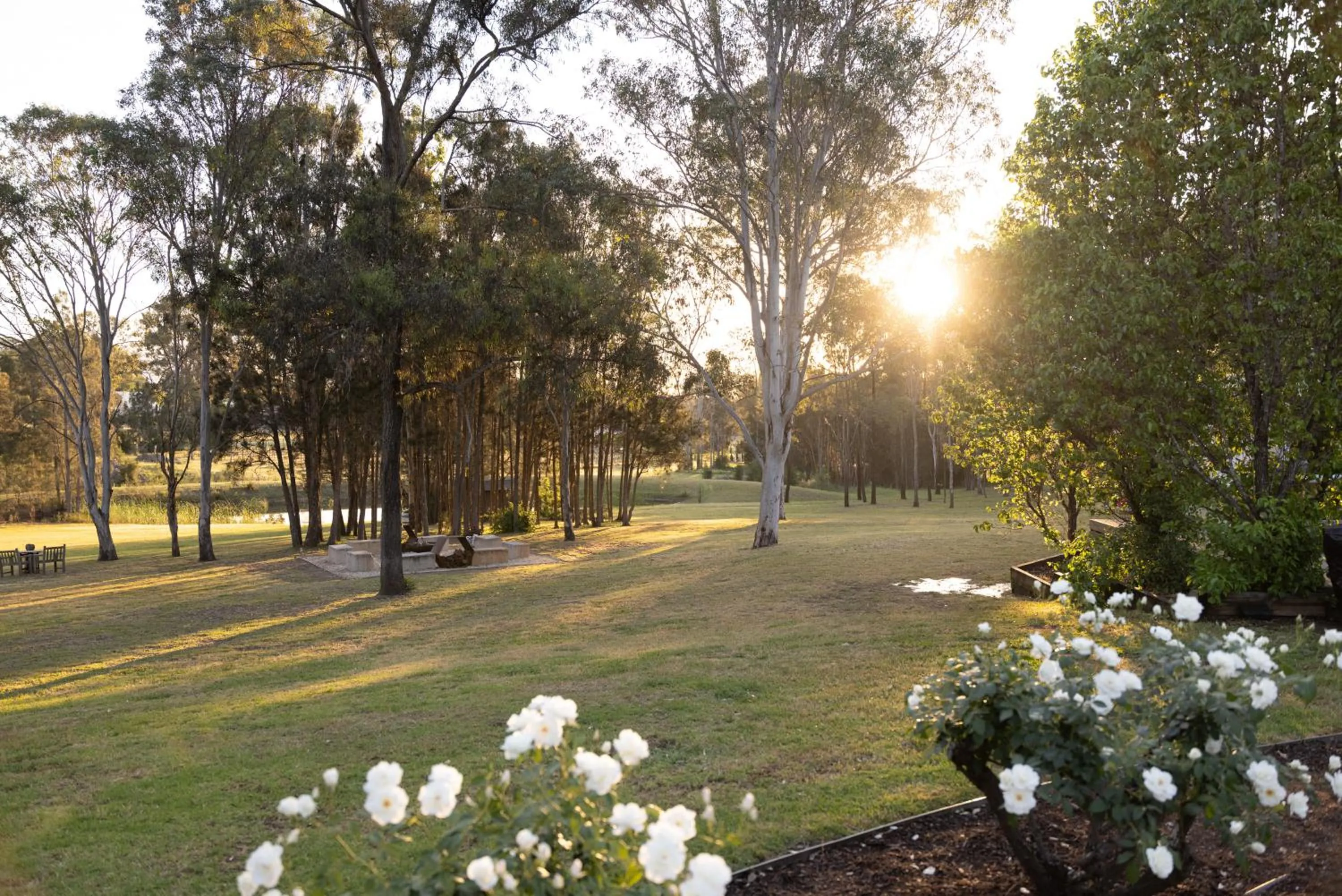 Thistle Hill Guesthouse - walk to many wineries and restaurants