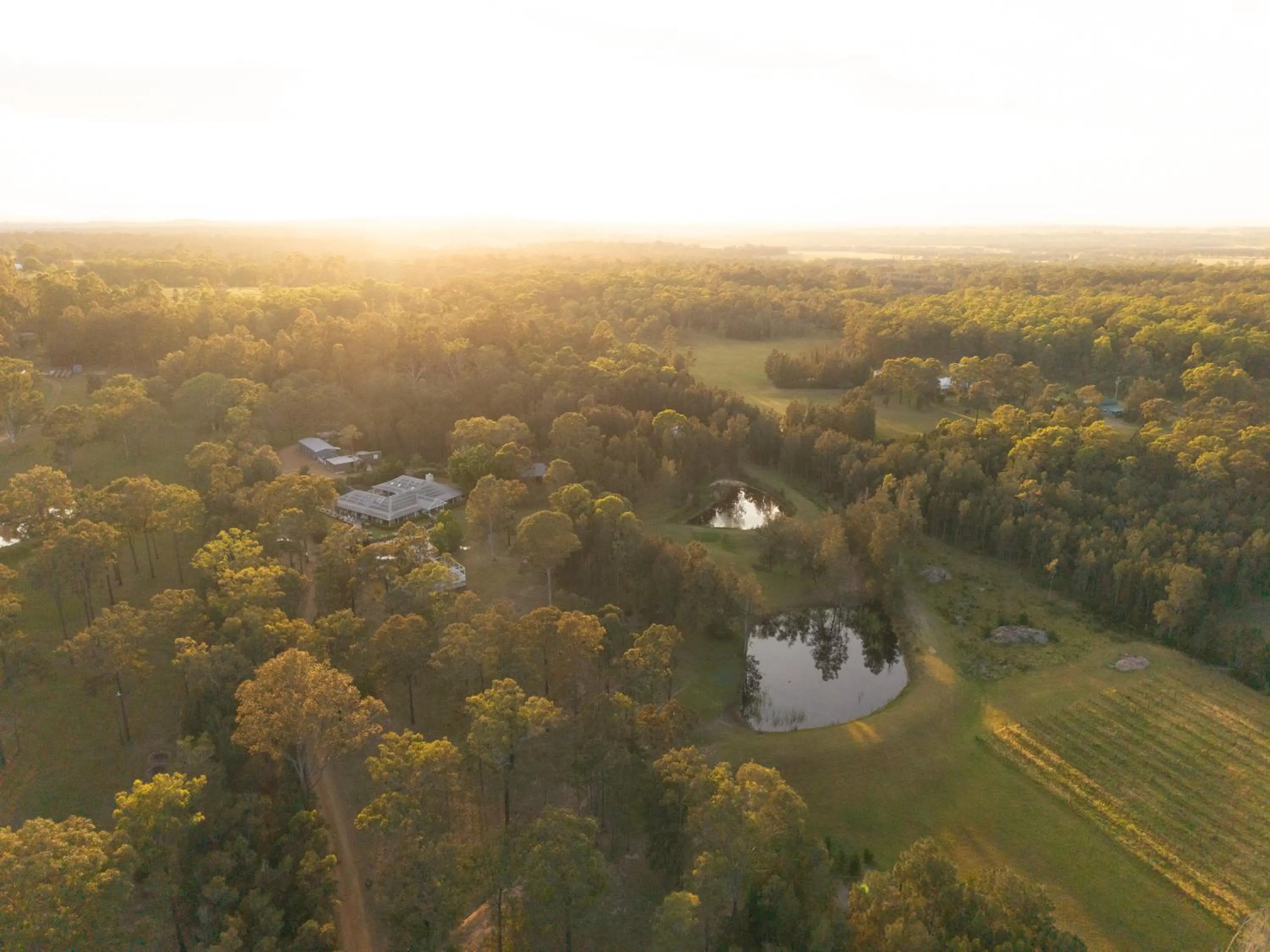 Thistle Hill Guesthouse - walk to many wineries and restaurants