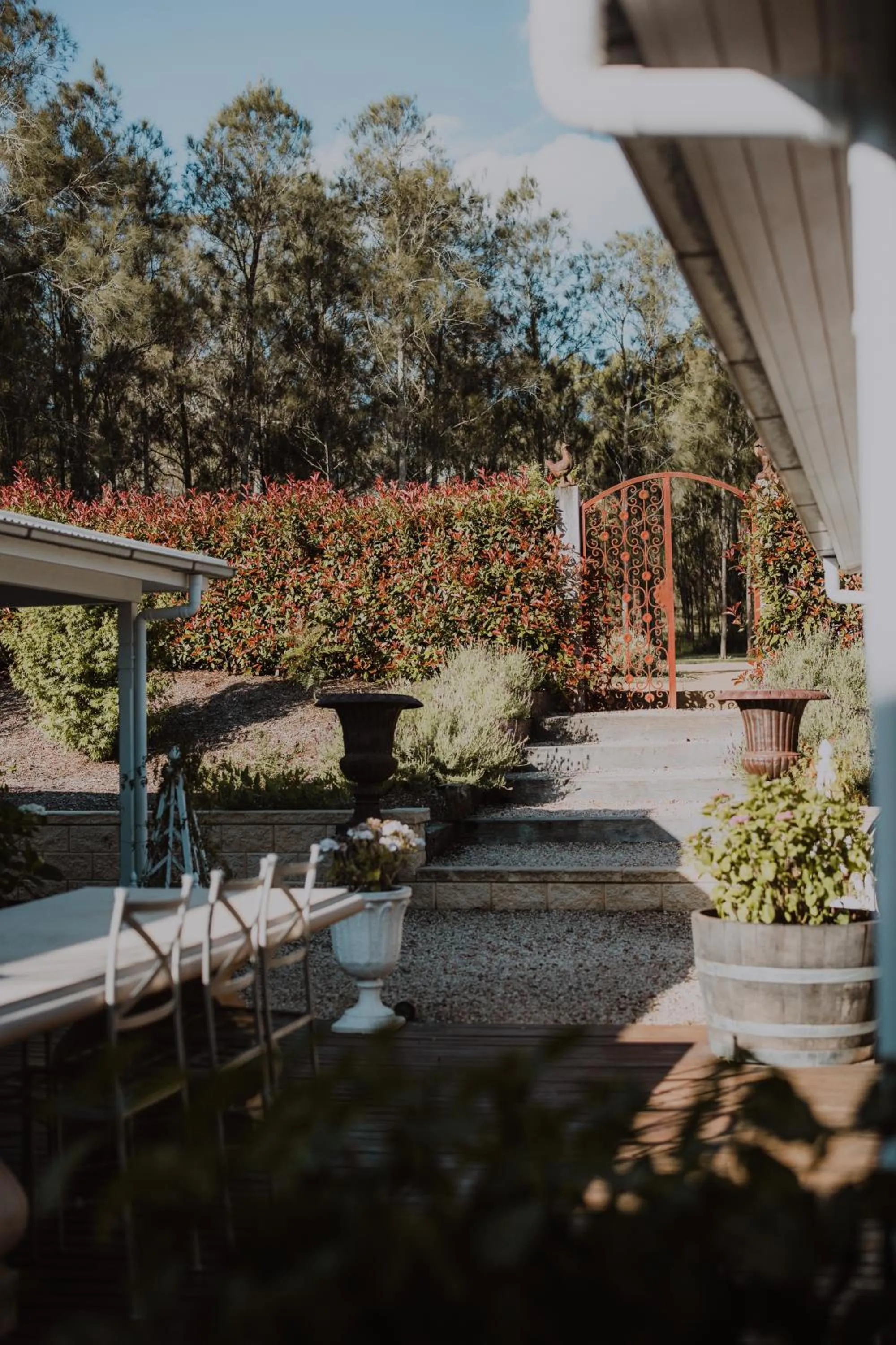 wedding in Thistle Hill Guesthouse - walk to many wineries and restaurants