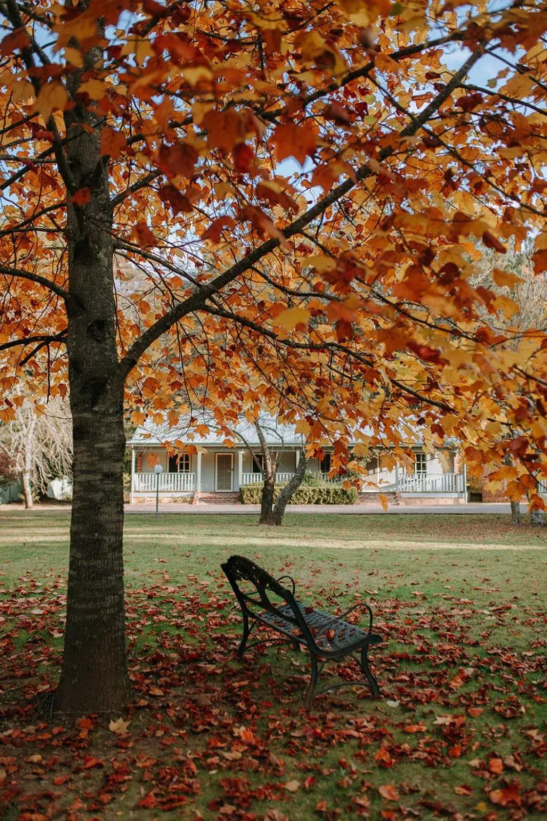 Laurel Two-Bedroom Cottage in Federation Gardens & Possums Hideaway Laurel Two-Bedroom Cottage in Federation Gardens & Possums Hideaway