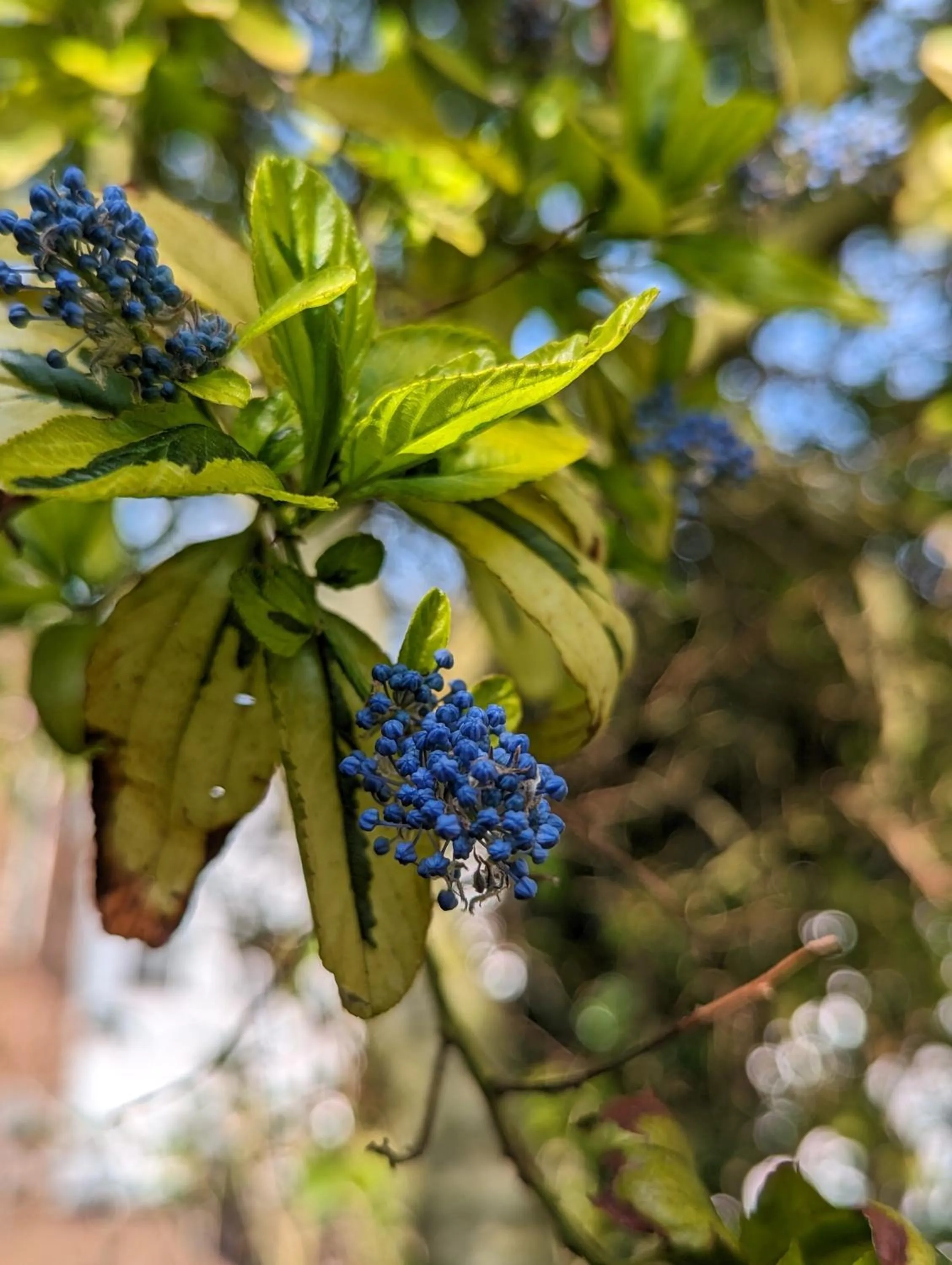 Natural landscape in The White Horse Inn