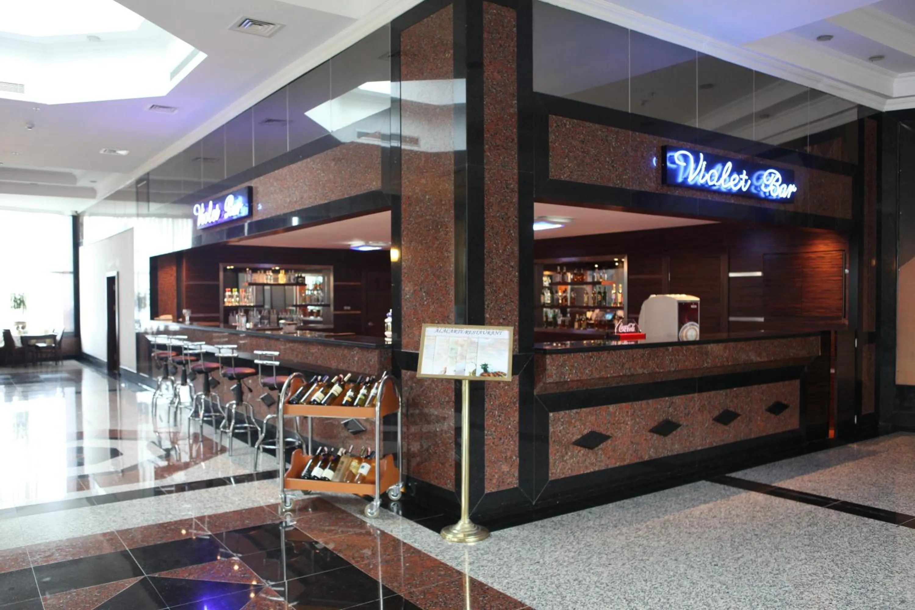 Lobby or reception in Eser Diamond Hotel Spa & Convention Center İstanbul