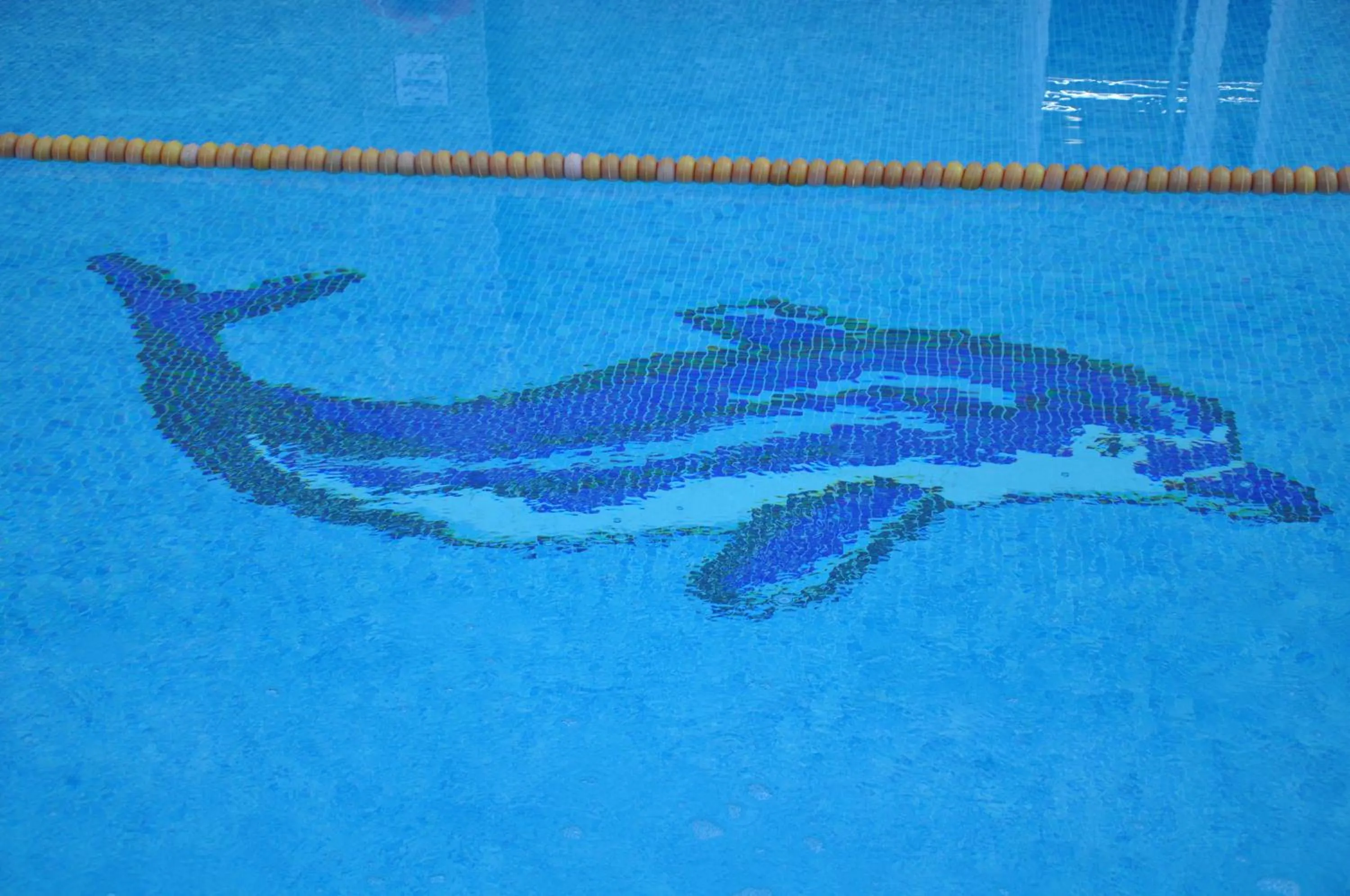 Spa and wellness centre/facilities in Eser Diamond Hotel Spa & Convention Center İstanbul