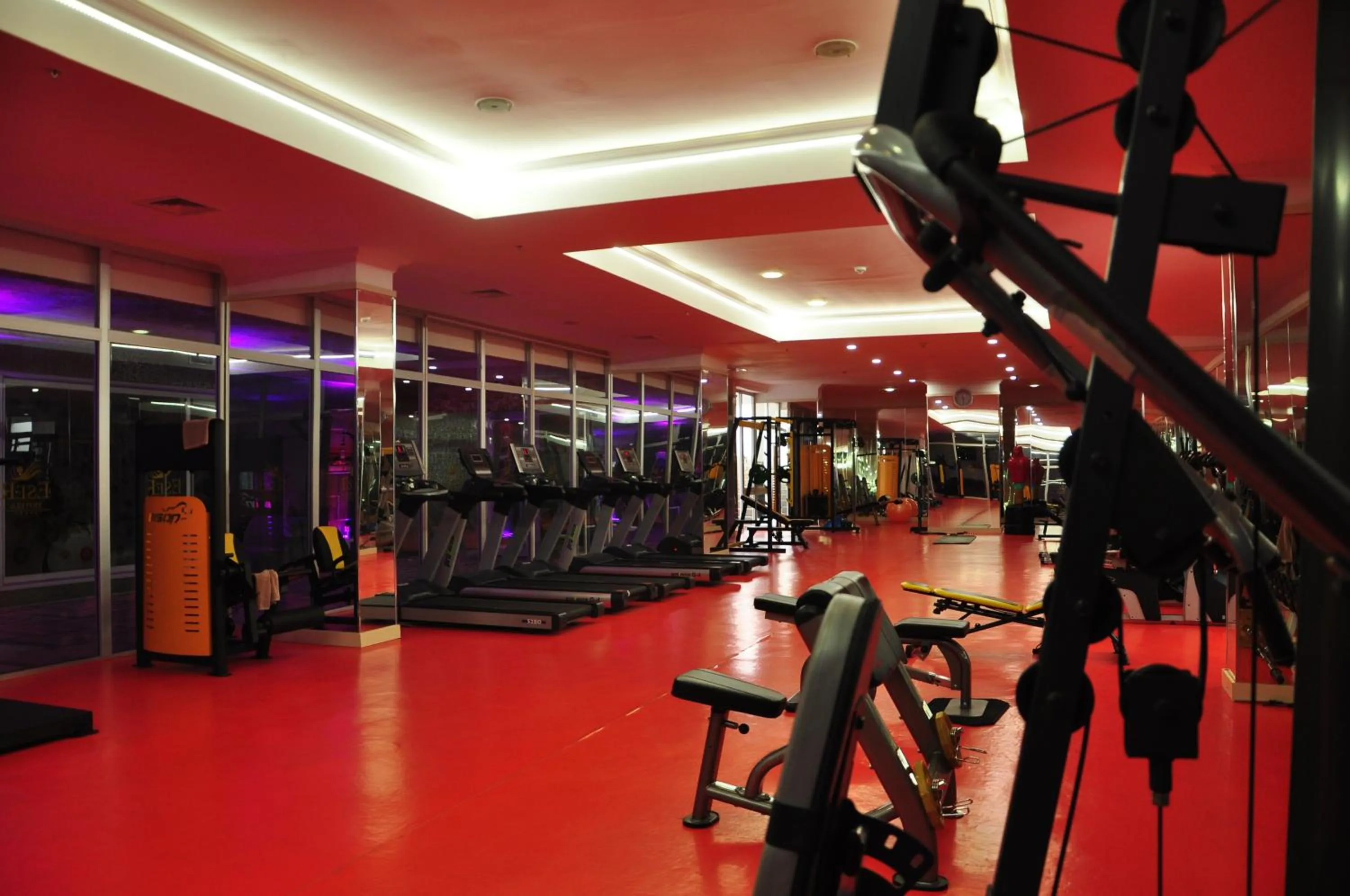 Fitness centre/facilities in Eser Diamond Hotel Spa & Convention Center İstanbul