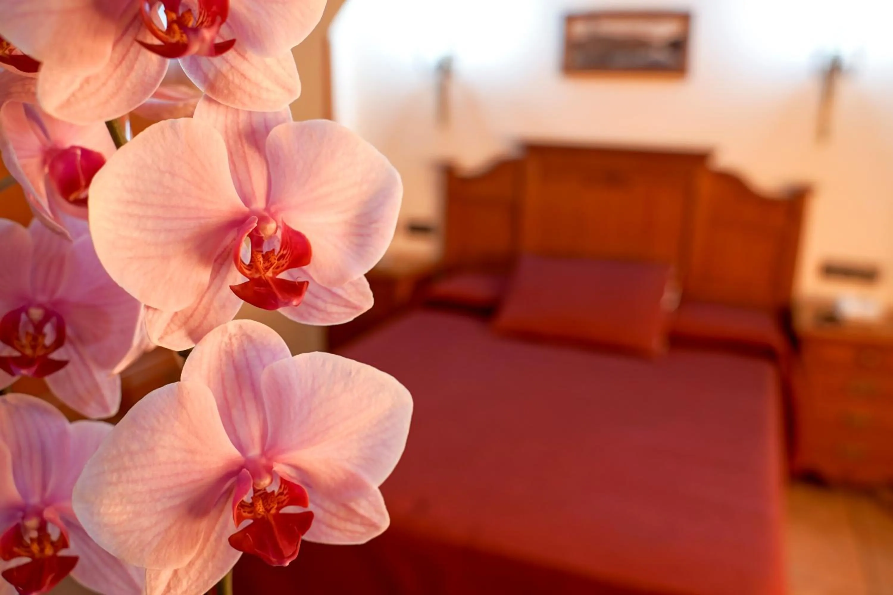 Bed in Hotel Alfonso VIII