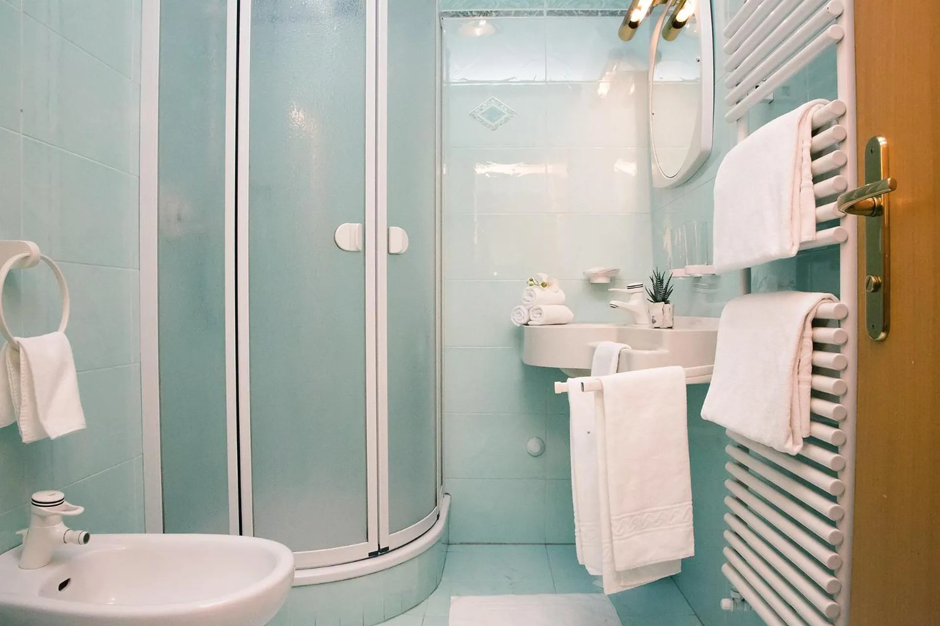 Shower in Hotel Simpaty