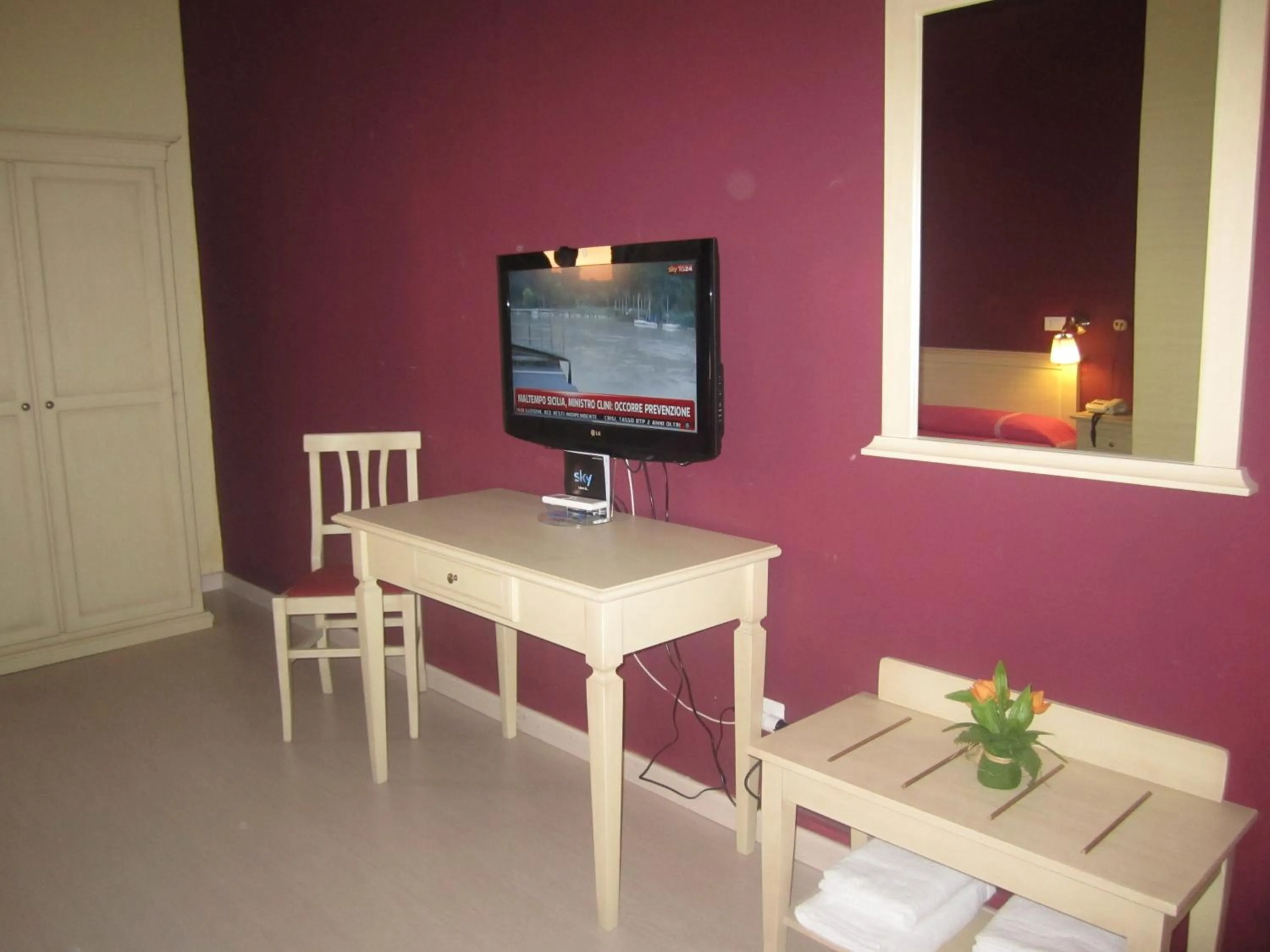 TV and multimedia in Hotel Genzianella