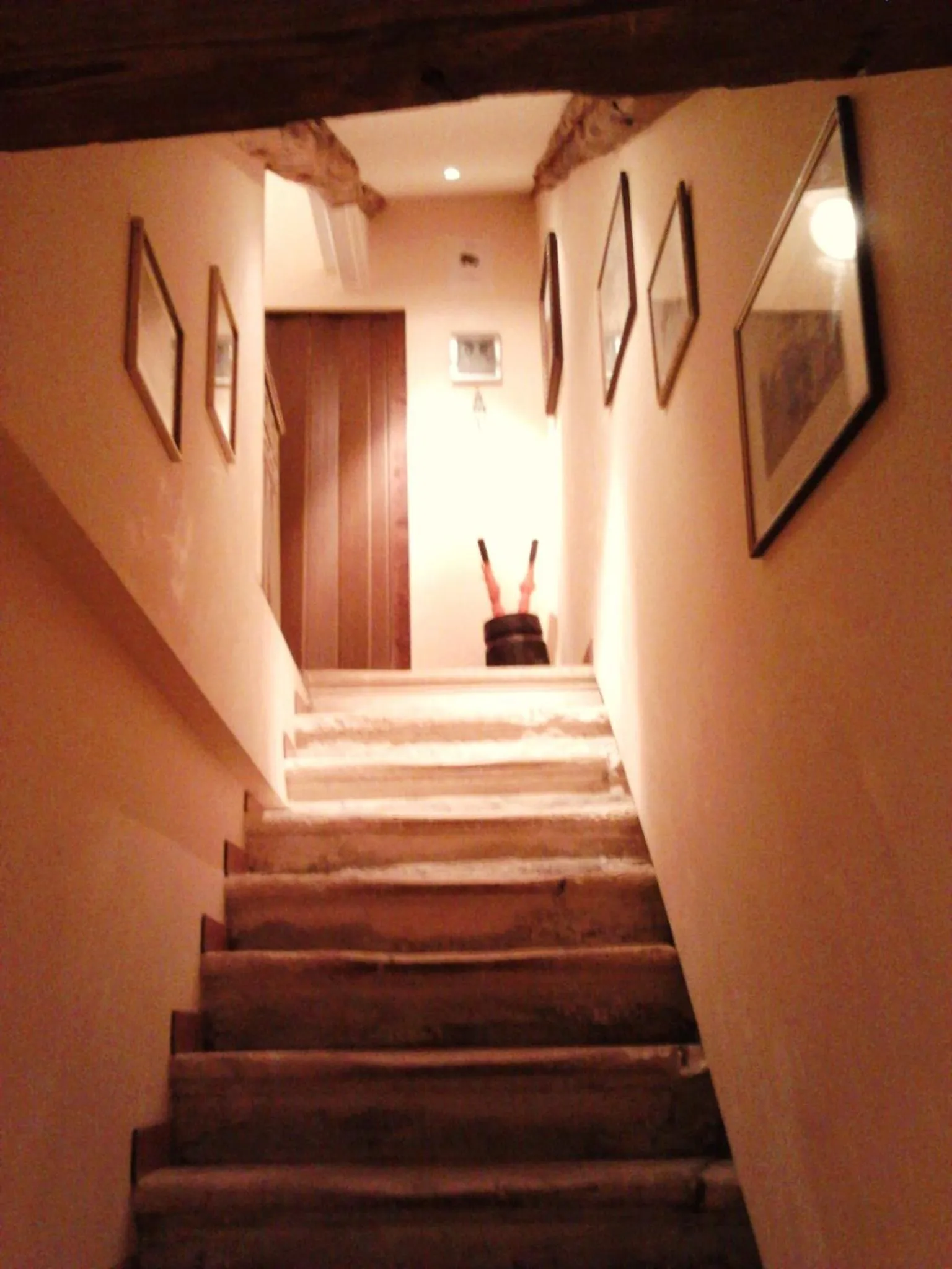 Decorative detail in B&B Venice 1964