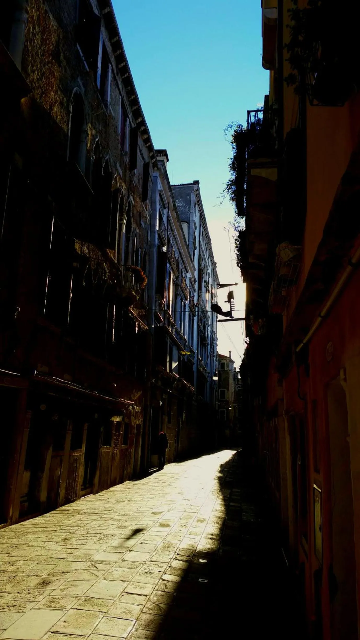 Property building in B&B Venice 1964