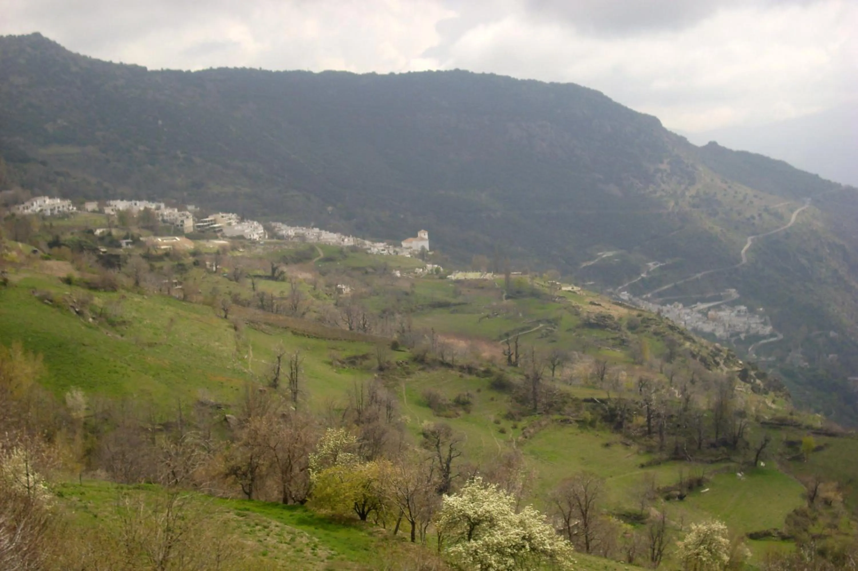 Natural landscape in Hotel Rural Poqueira II