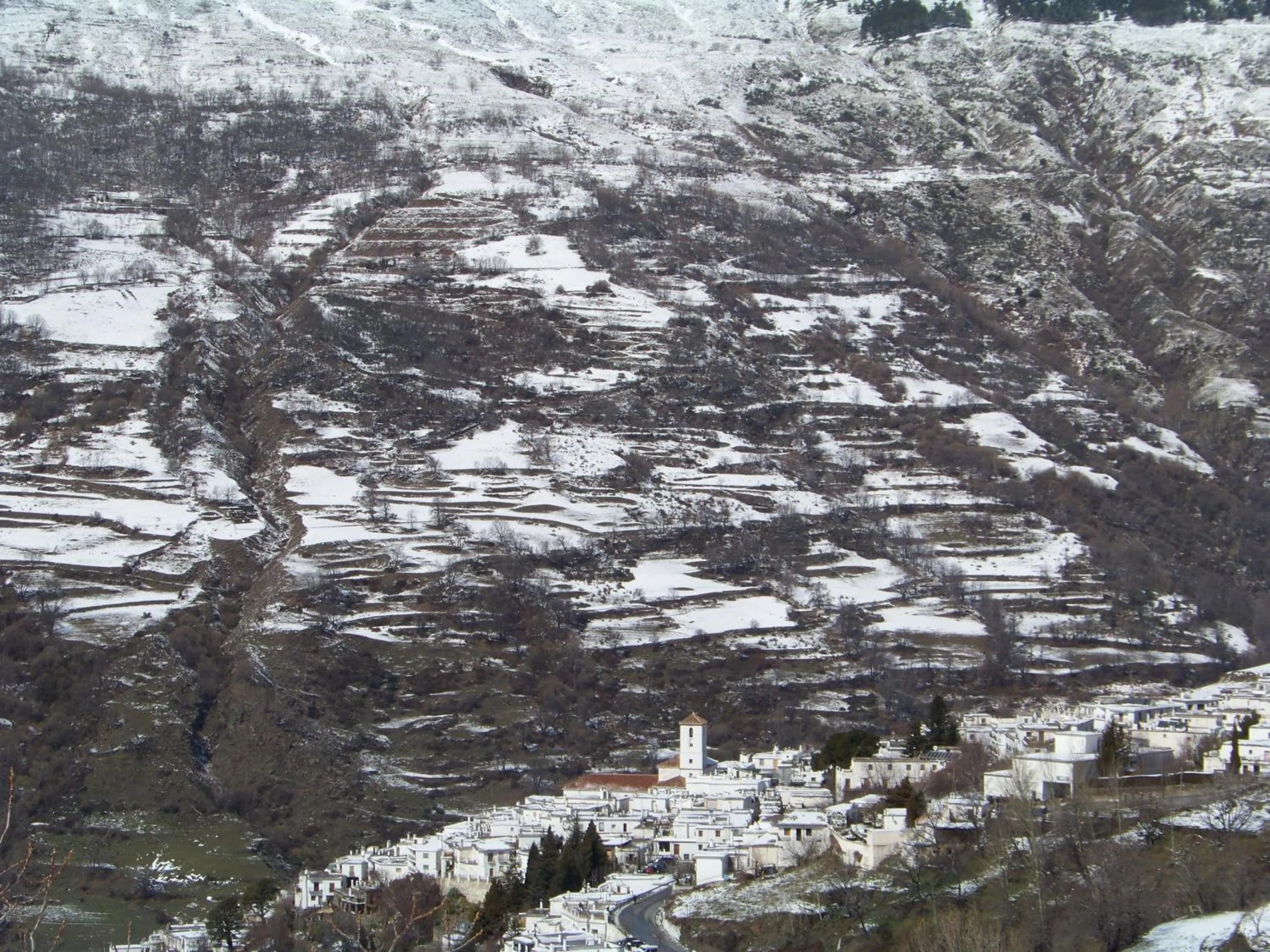 Natural landscape in Hotel Rural Poqueira II