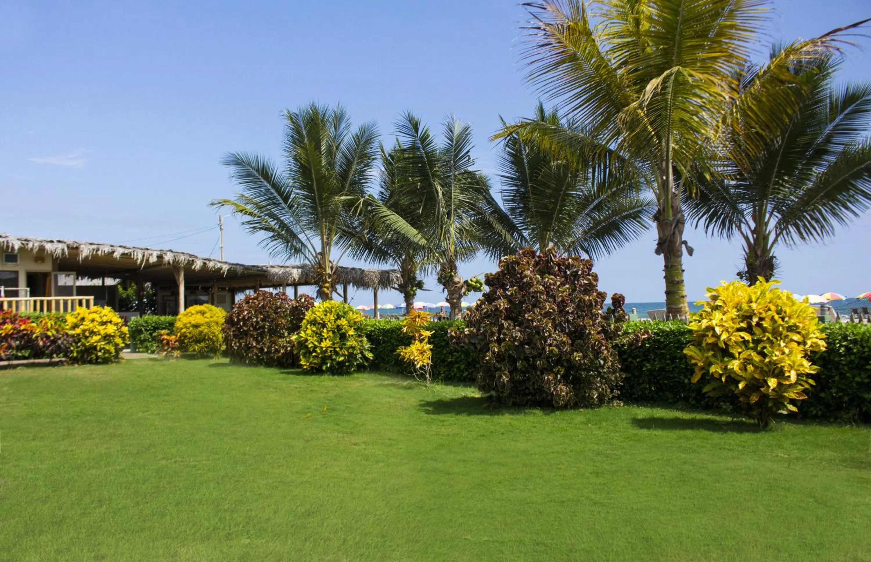 Garden in Hotel Kundalini