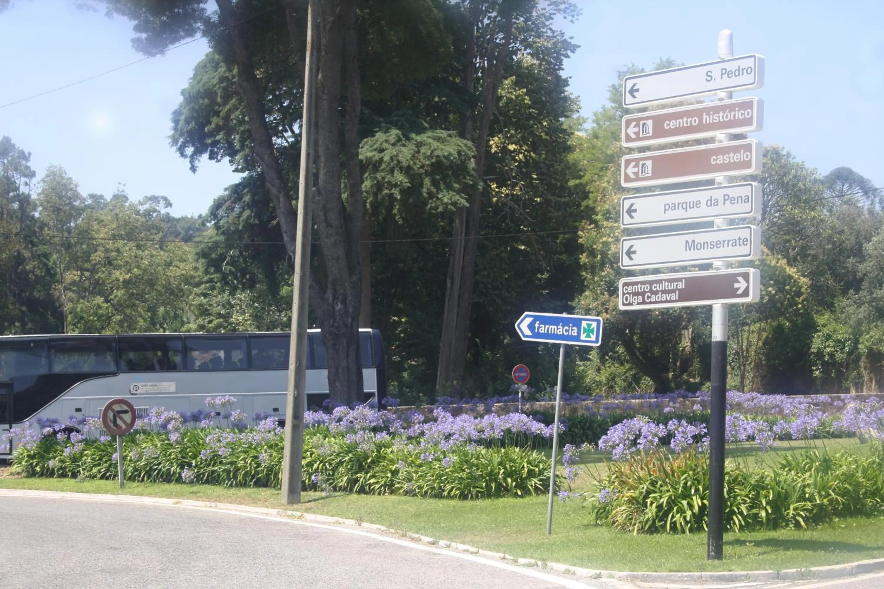 Other in Hotel Sintra Jardim