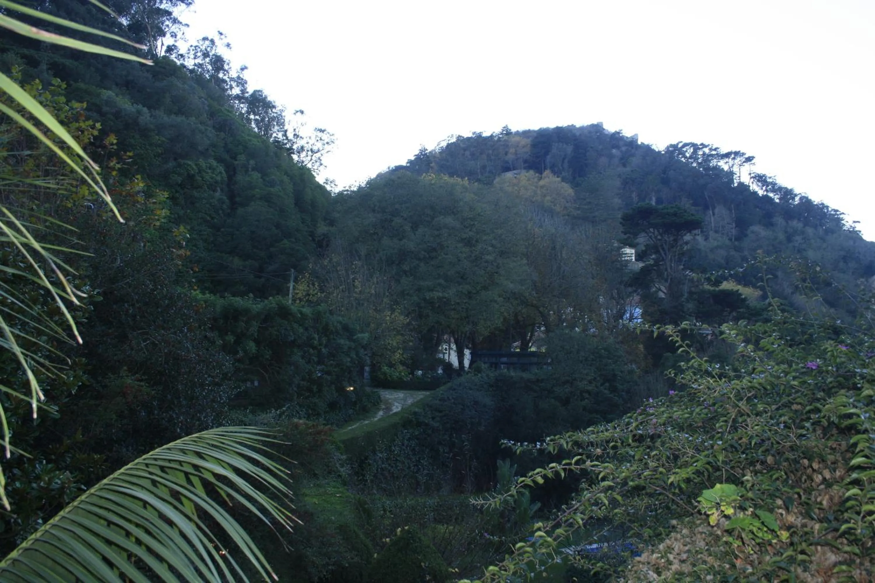 Garden in Hotel Sintra Jardim