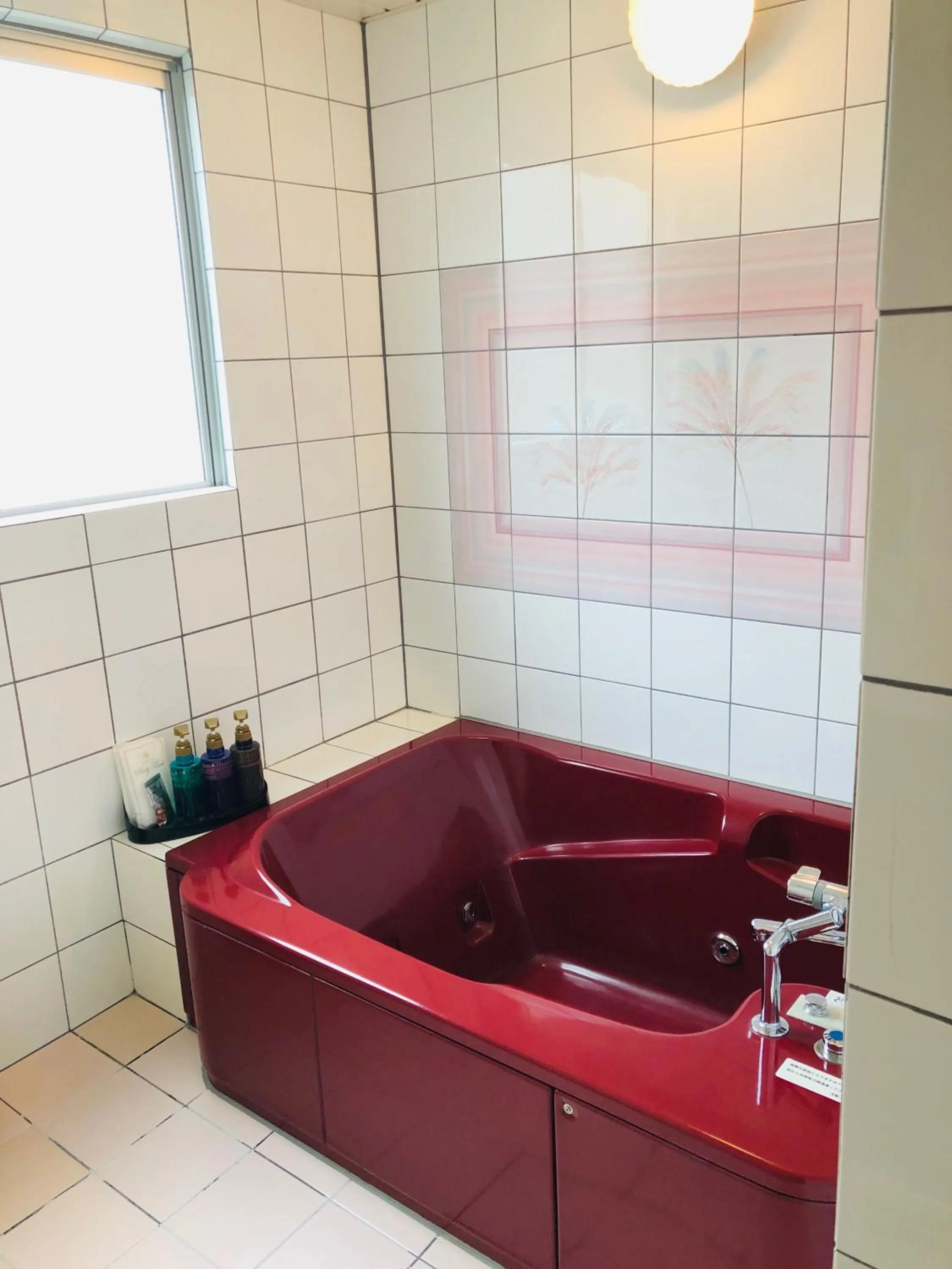 Hotel Star Dust (Adult Only)