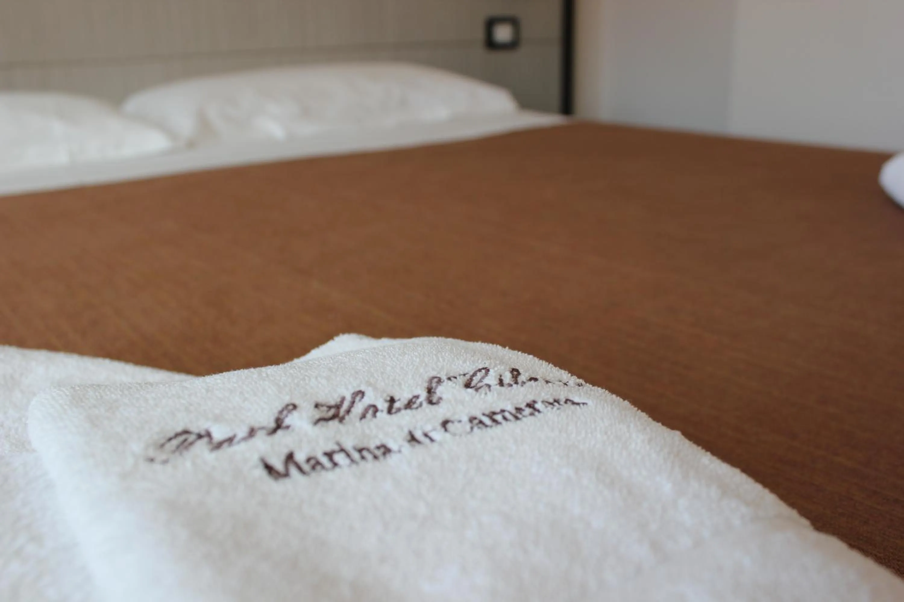 Superior Double Room in Park Hotel Cilento