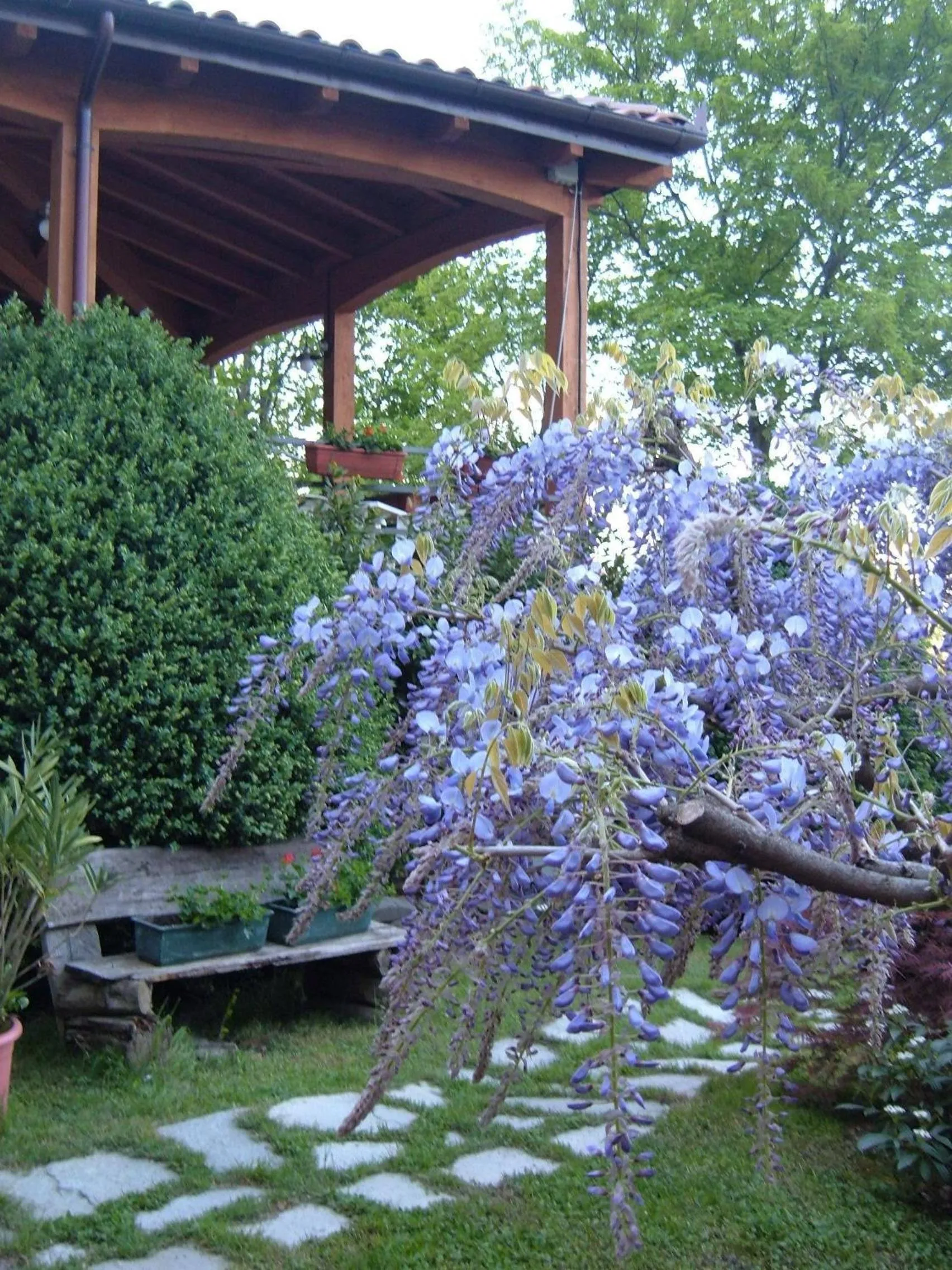 Spring in Hotel Bruna