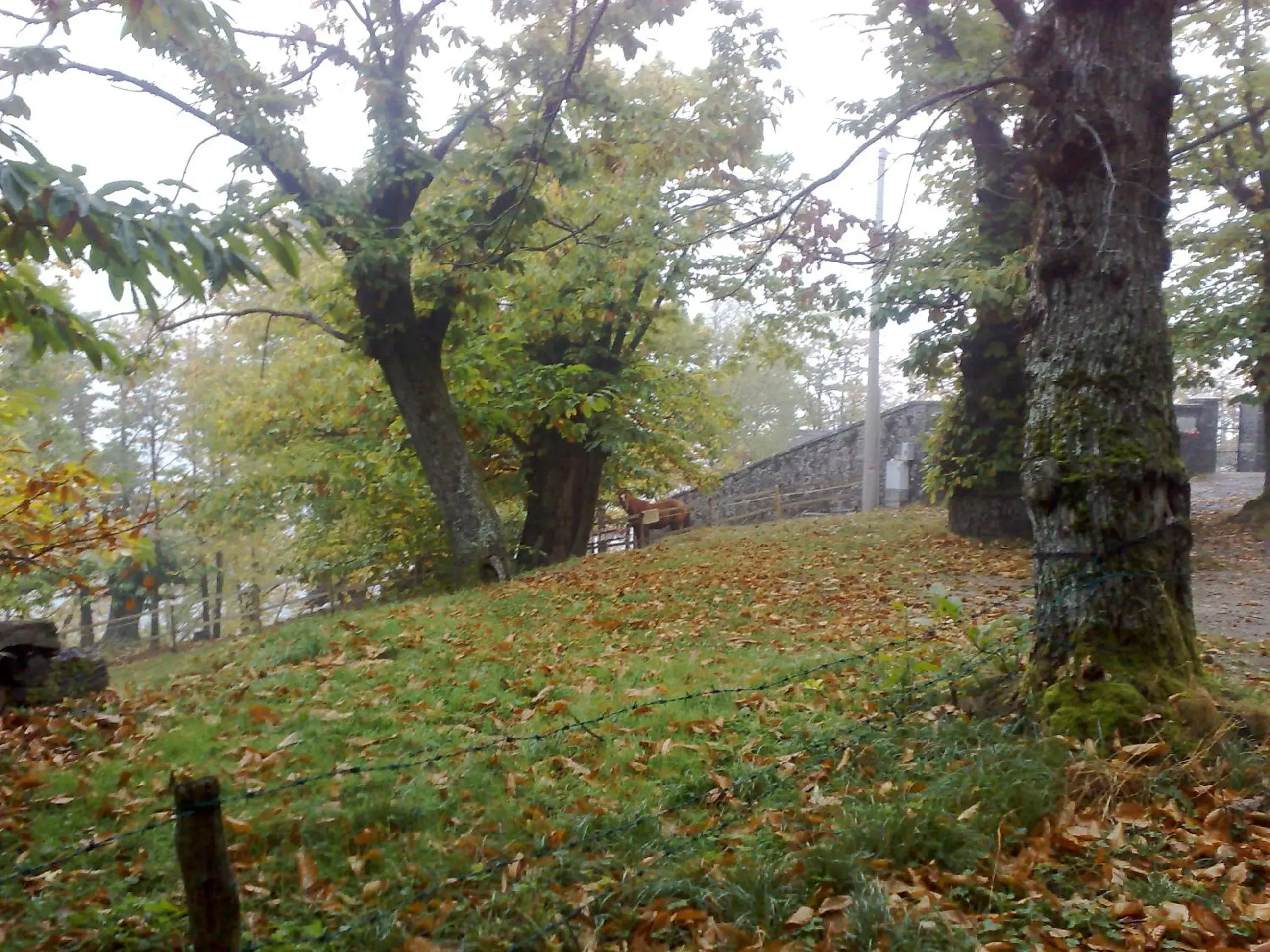 Double or Twin Room in Hotel Bruna Double or Twin Room in Hotel Bruna