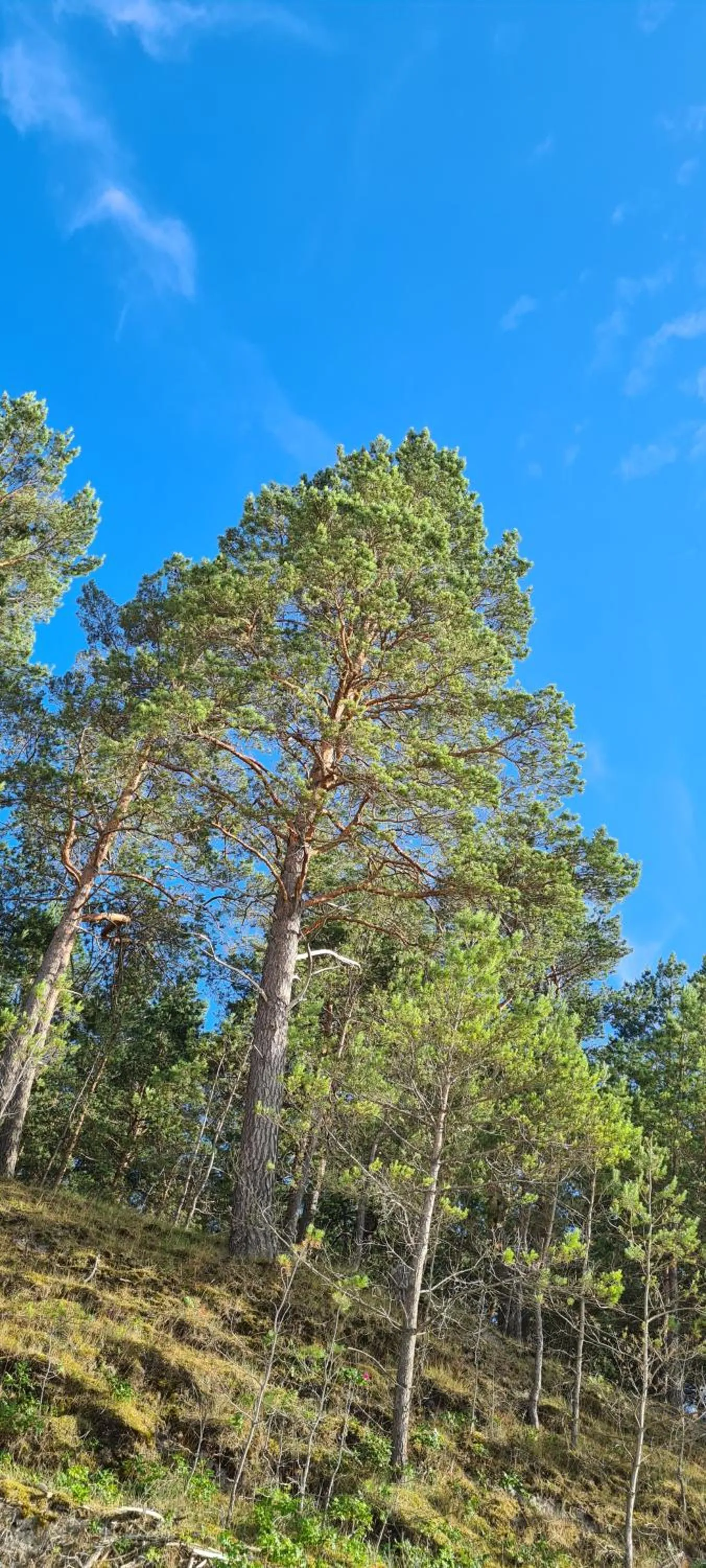 Dom Derbend na wyłączność