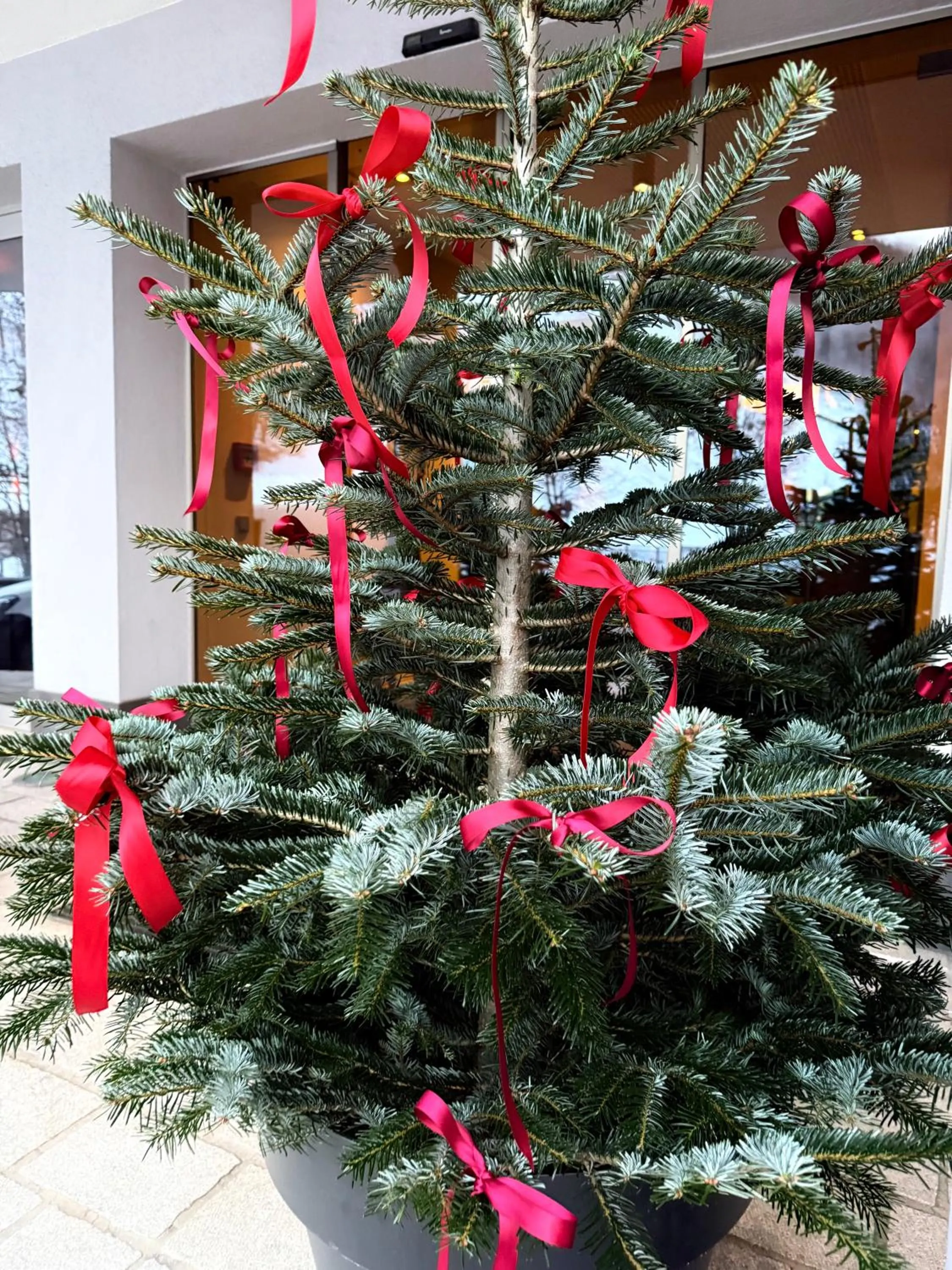 Facade/entrance in Hotel Auwirt Zentrum