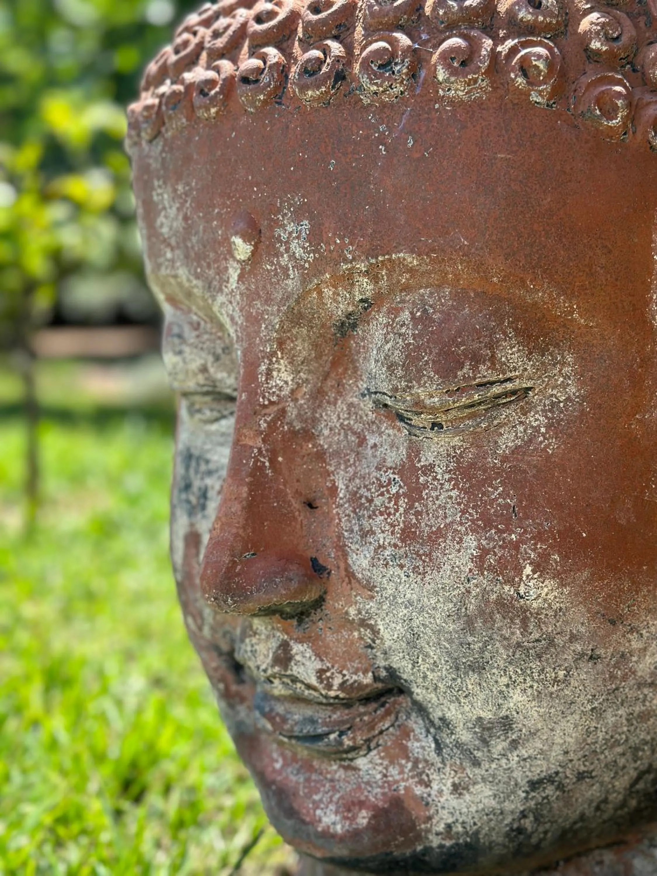 Decorative detail in Hôtel Ambassador Palombaggia