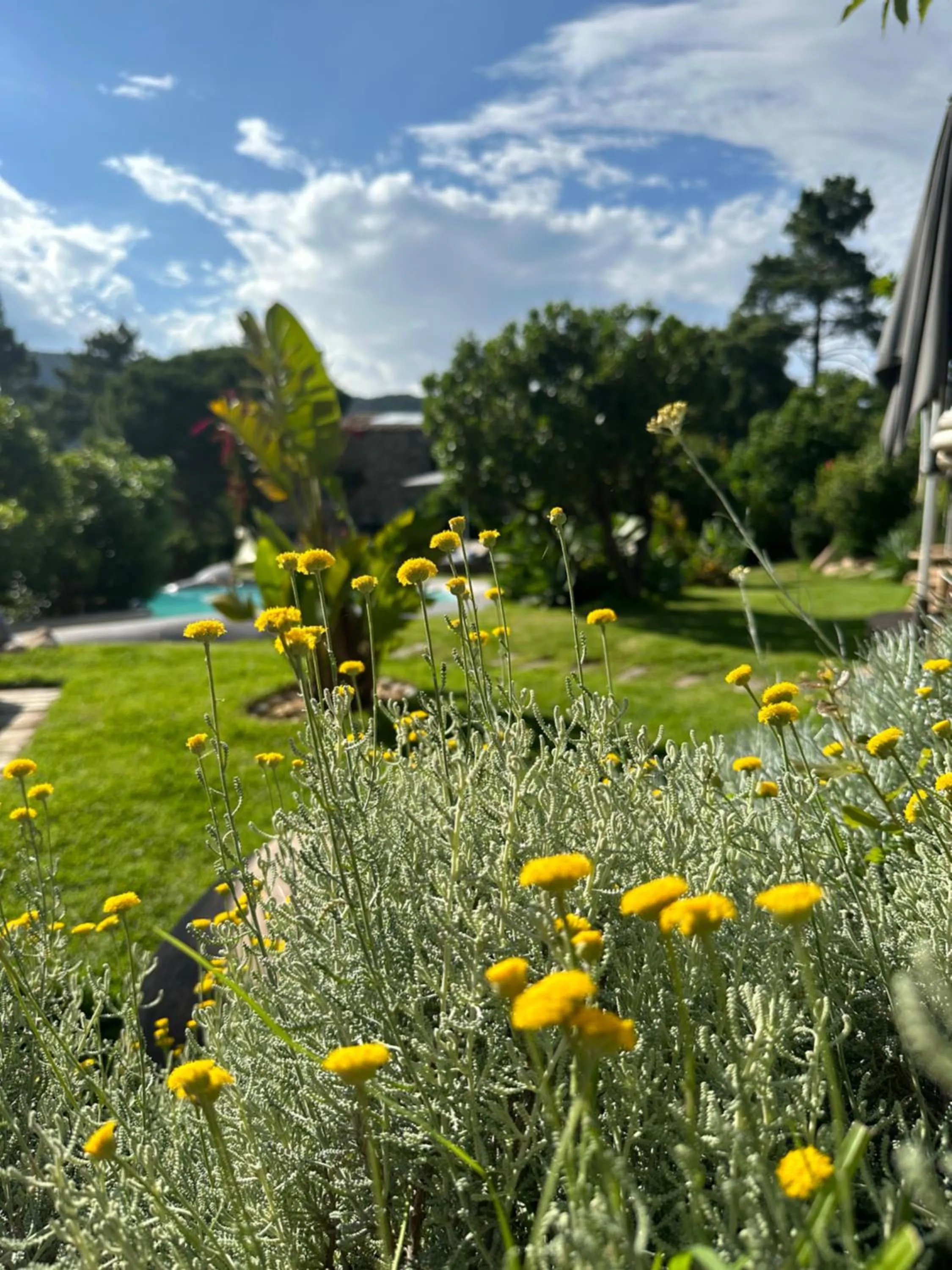 Day in Hôtel Ambassador Palombaggia