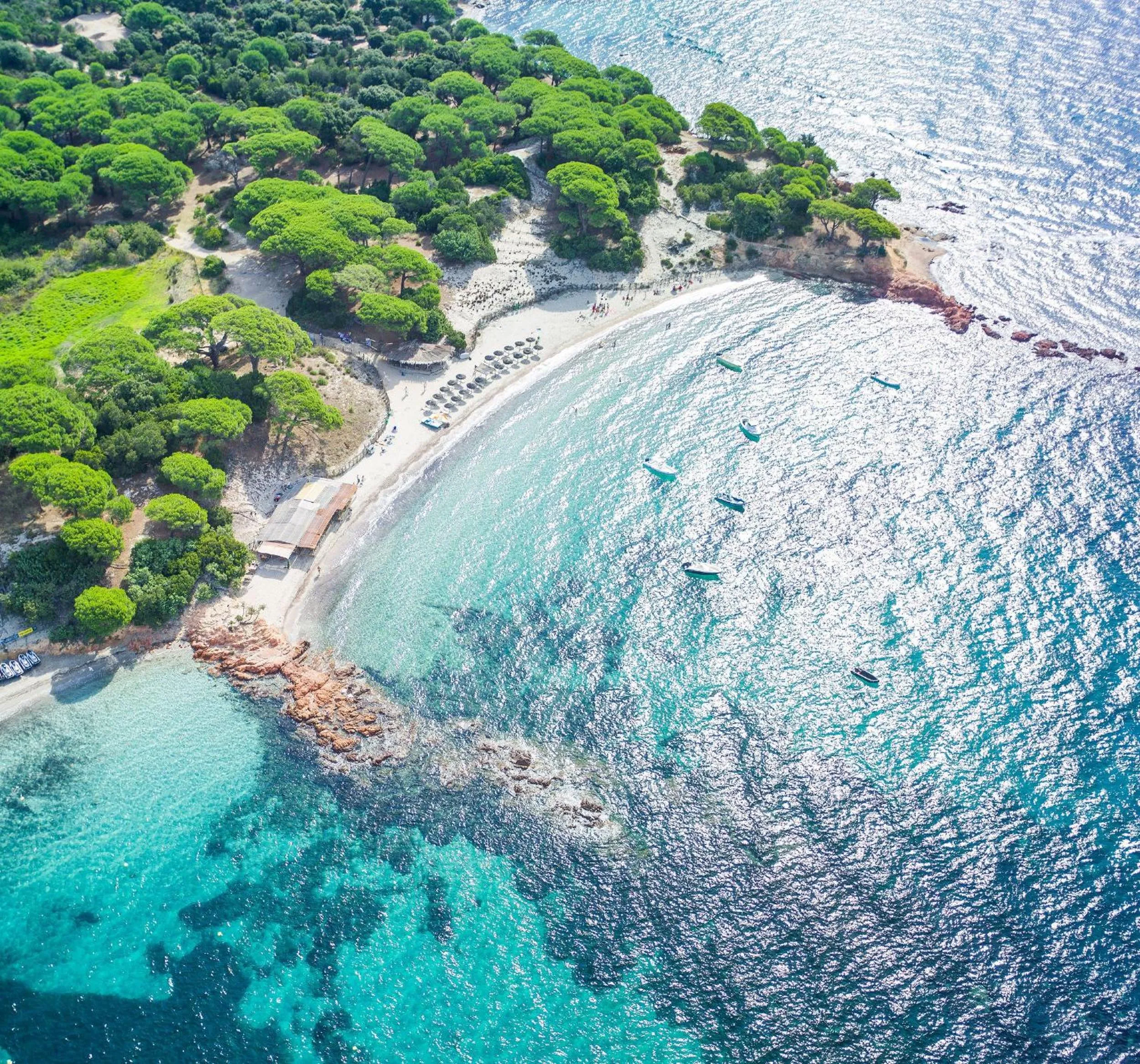 Beach in Hôtel Ambassador Palombaggia