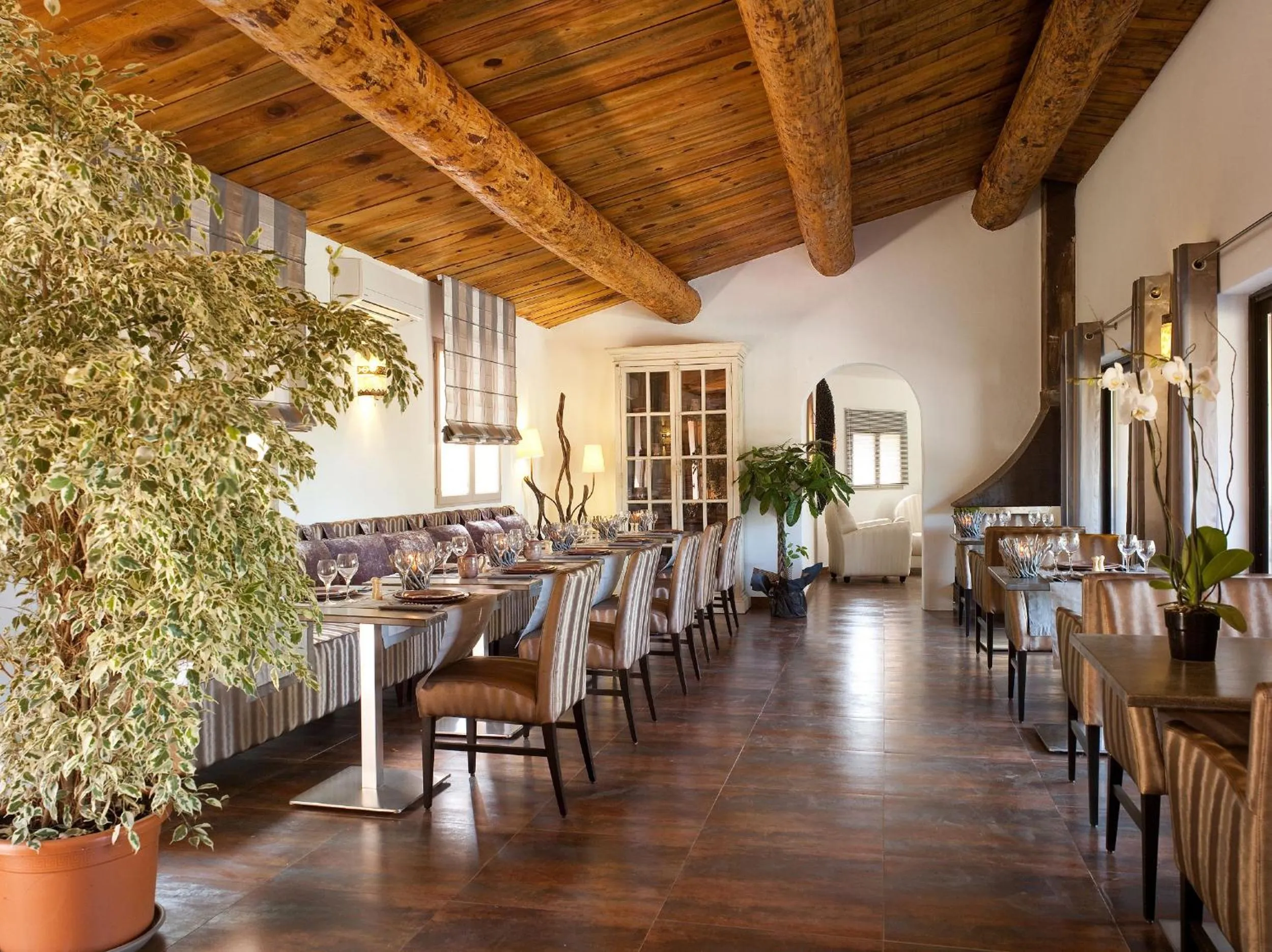 Restaurant/places to eat in Hôtel Ambassador Palombaggia