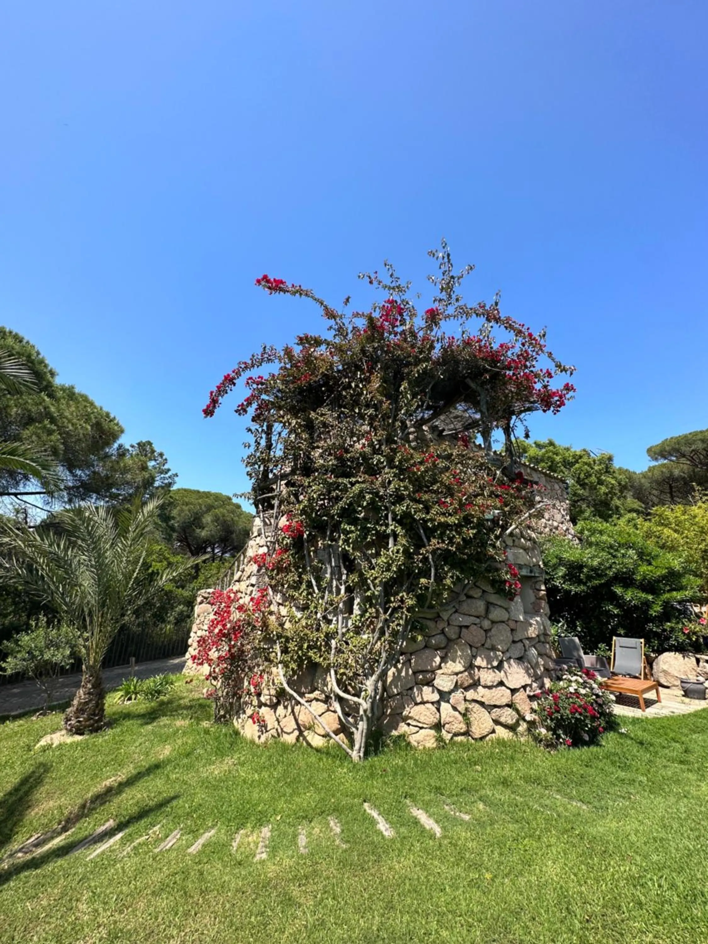 Day in Hôtel Ambassador Palombaggia