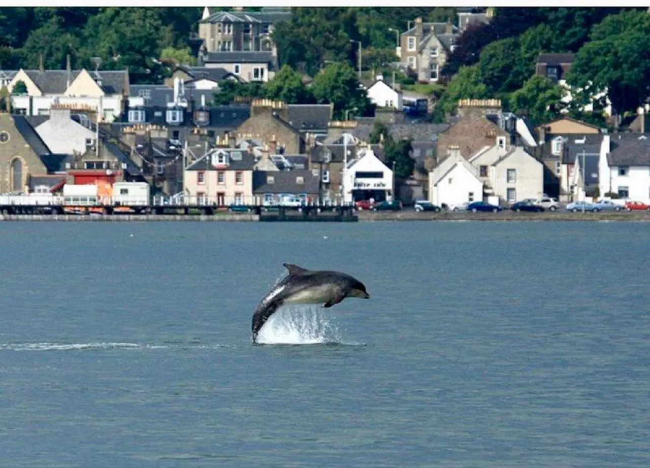 Neighbourhood in Woodlands Hotel, BW Signature Collection