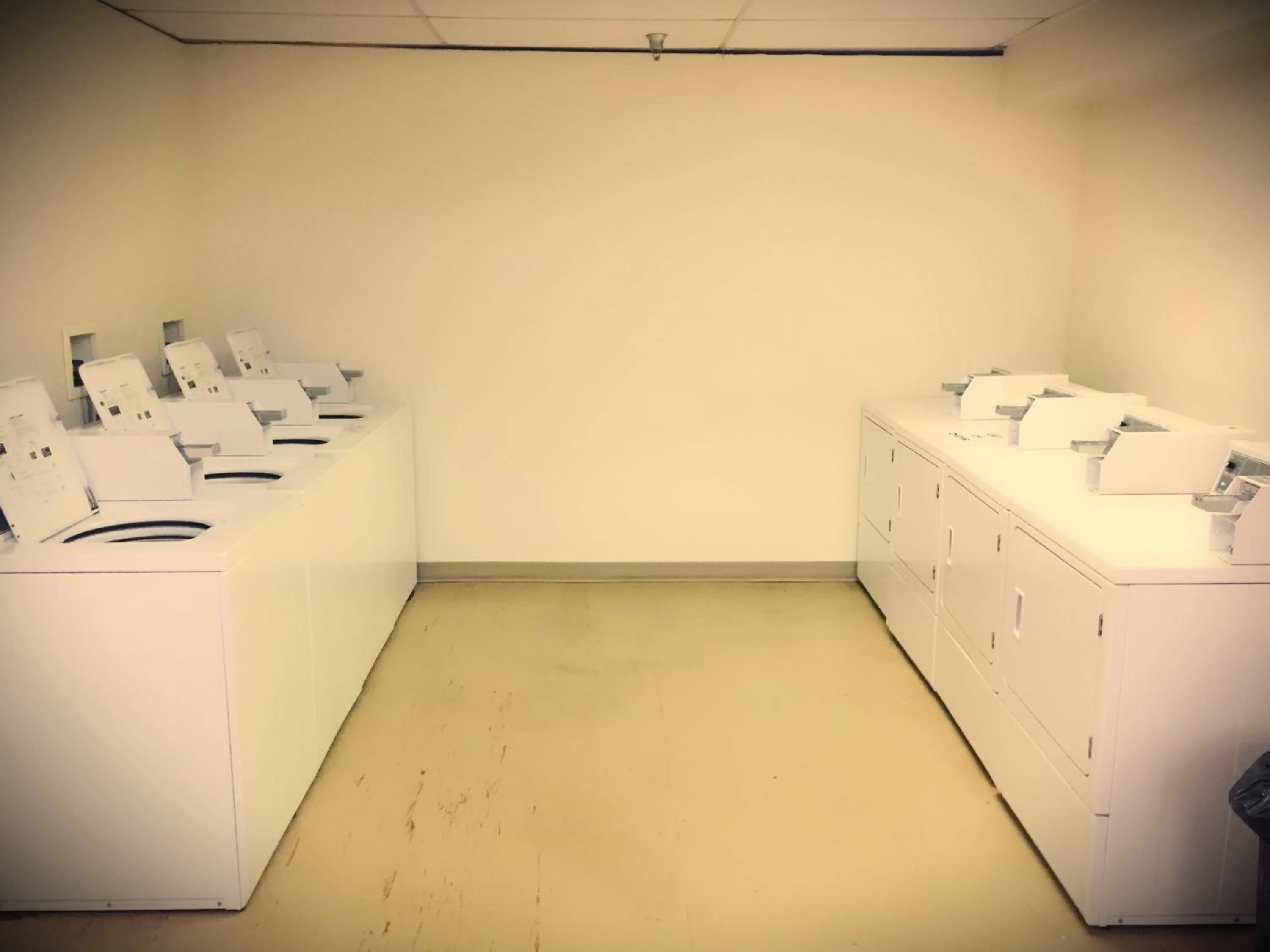 Area and facilities in Ace Inn