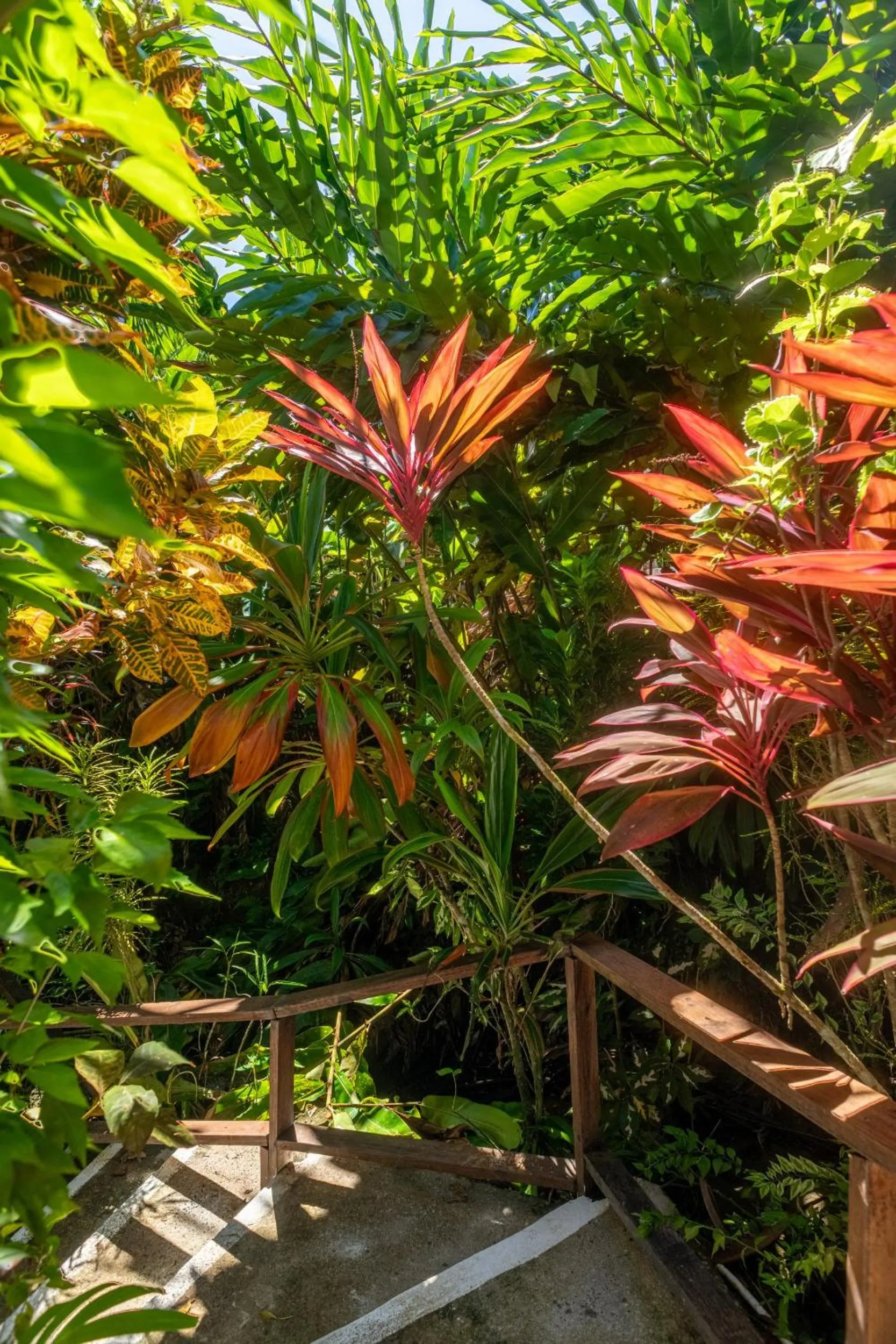 Property building in Hibiscus Valley Inn