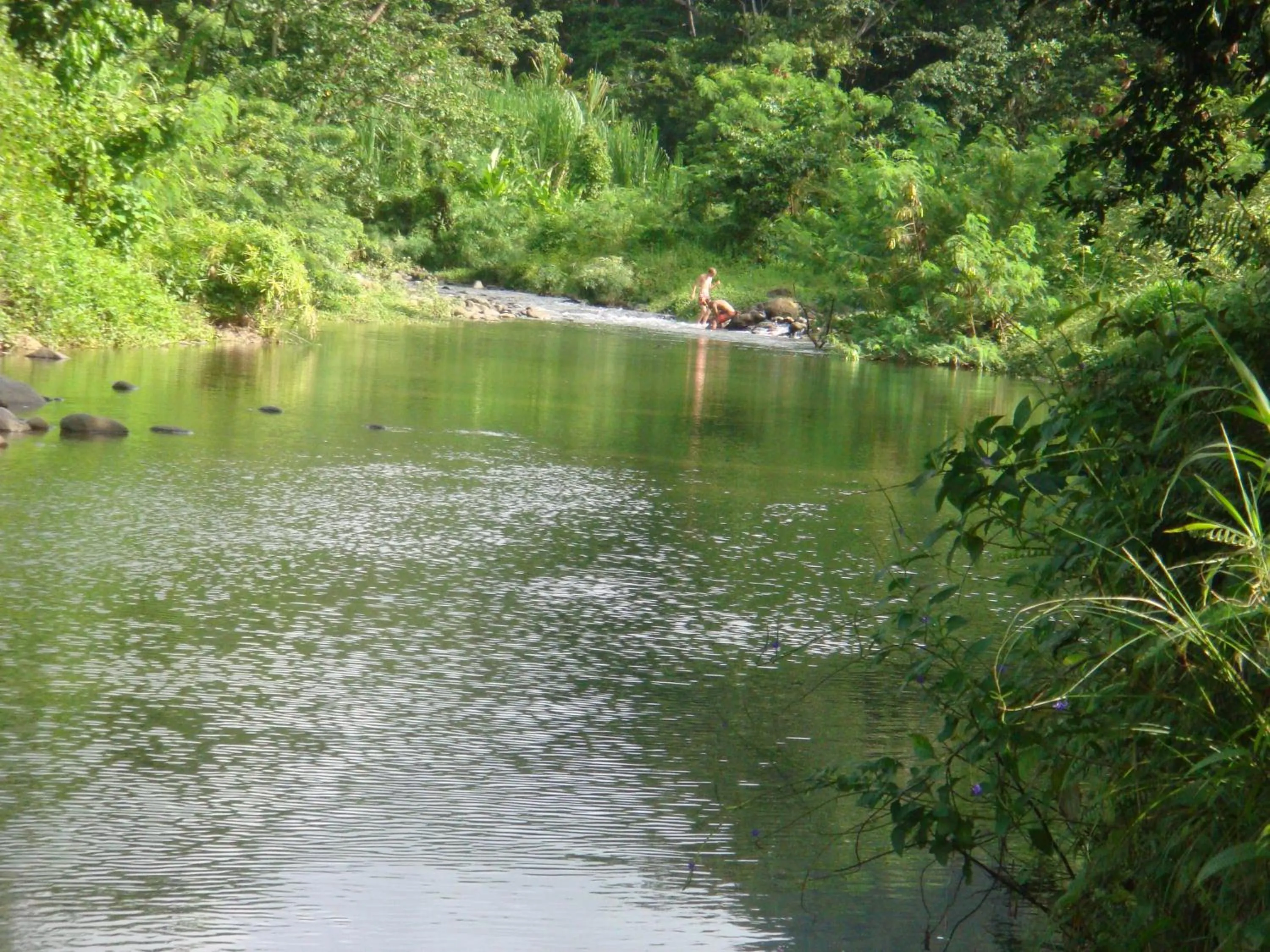 Swimming pool in Hibiscus Valley Inn