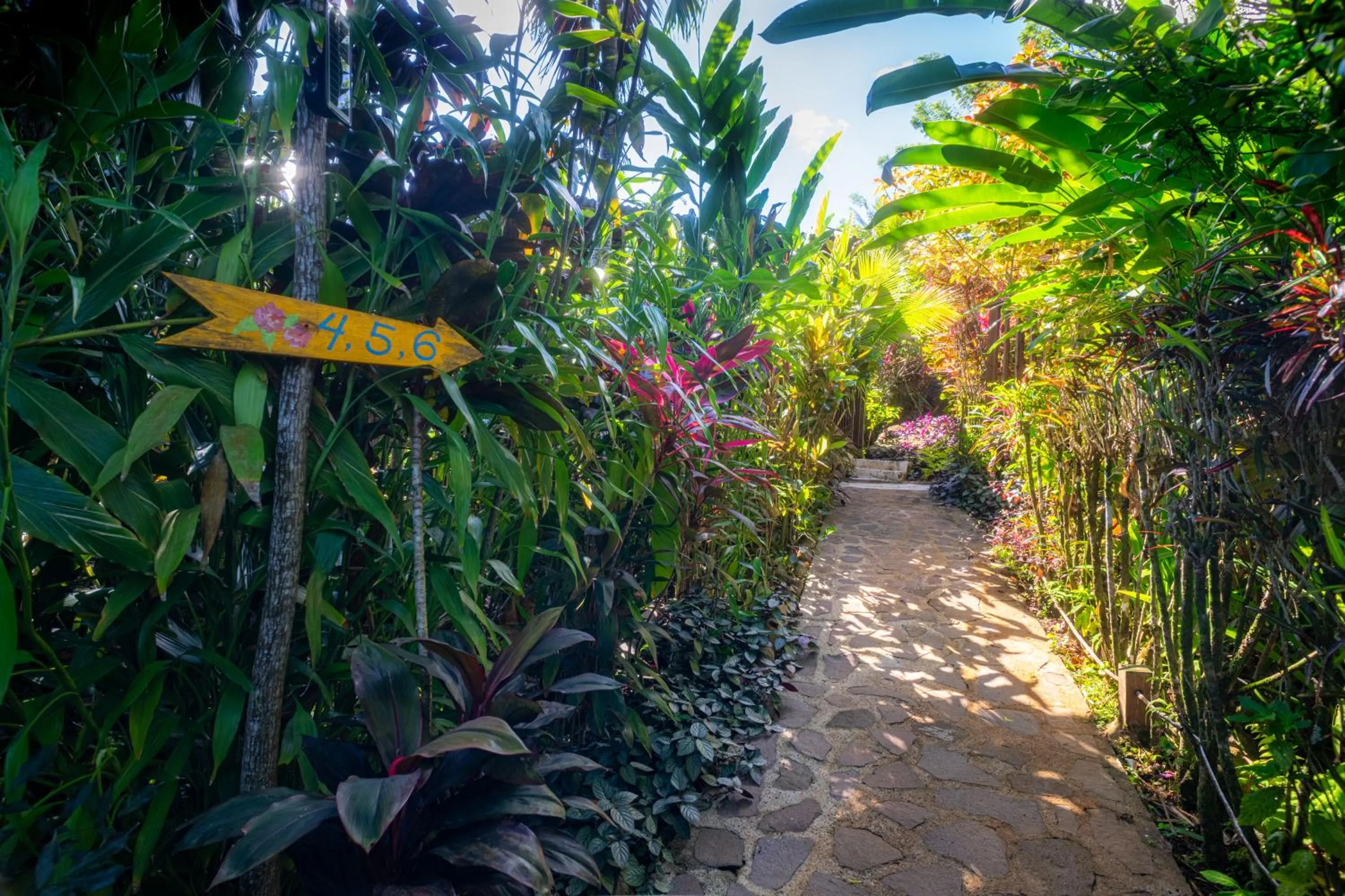 Day in Hibiscus Valley Inn