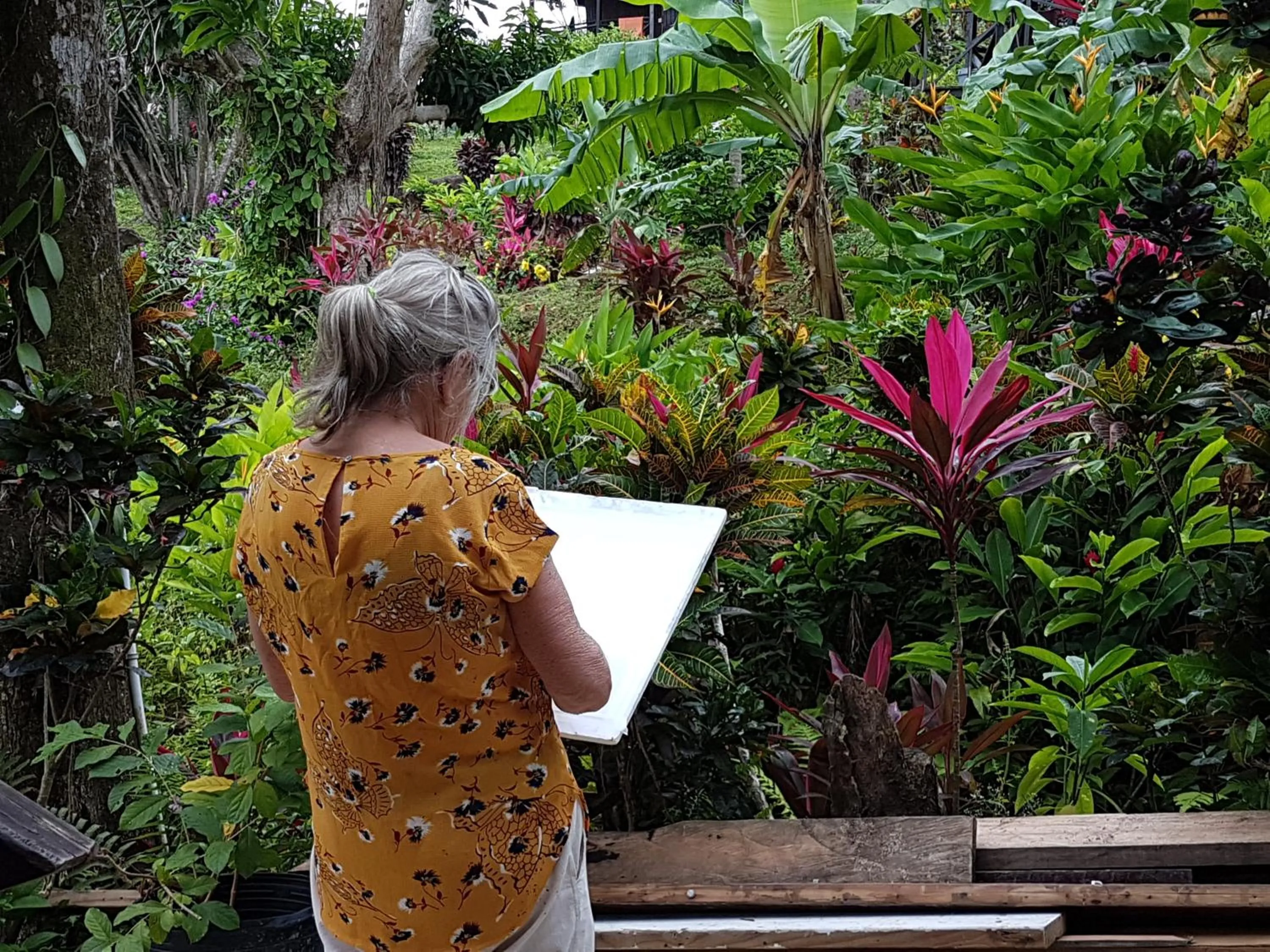 Property building in Hibiscus Valley Inn