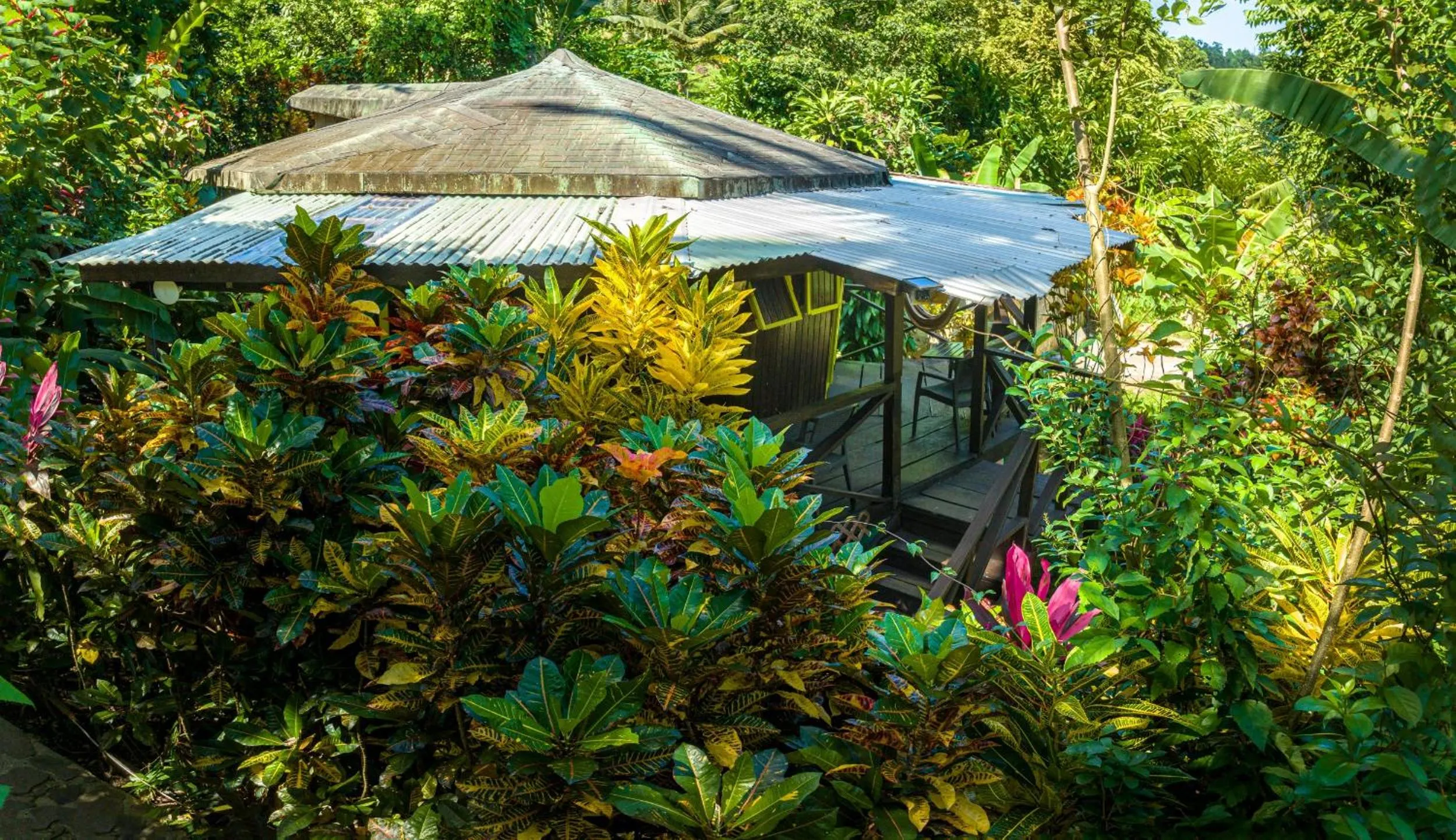Garden view in Hibiscus Valley Inn