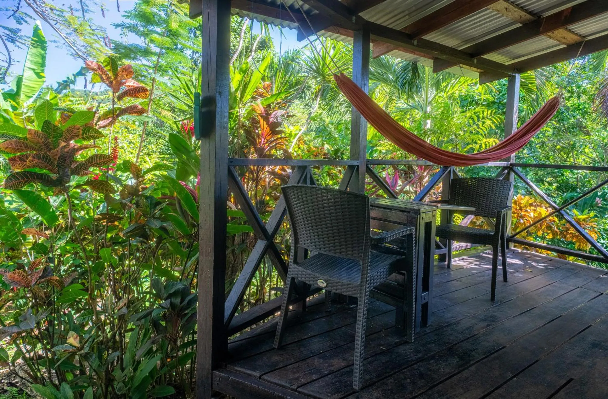 Garden in Hibiscus Valley Inn