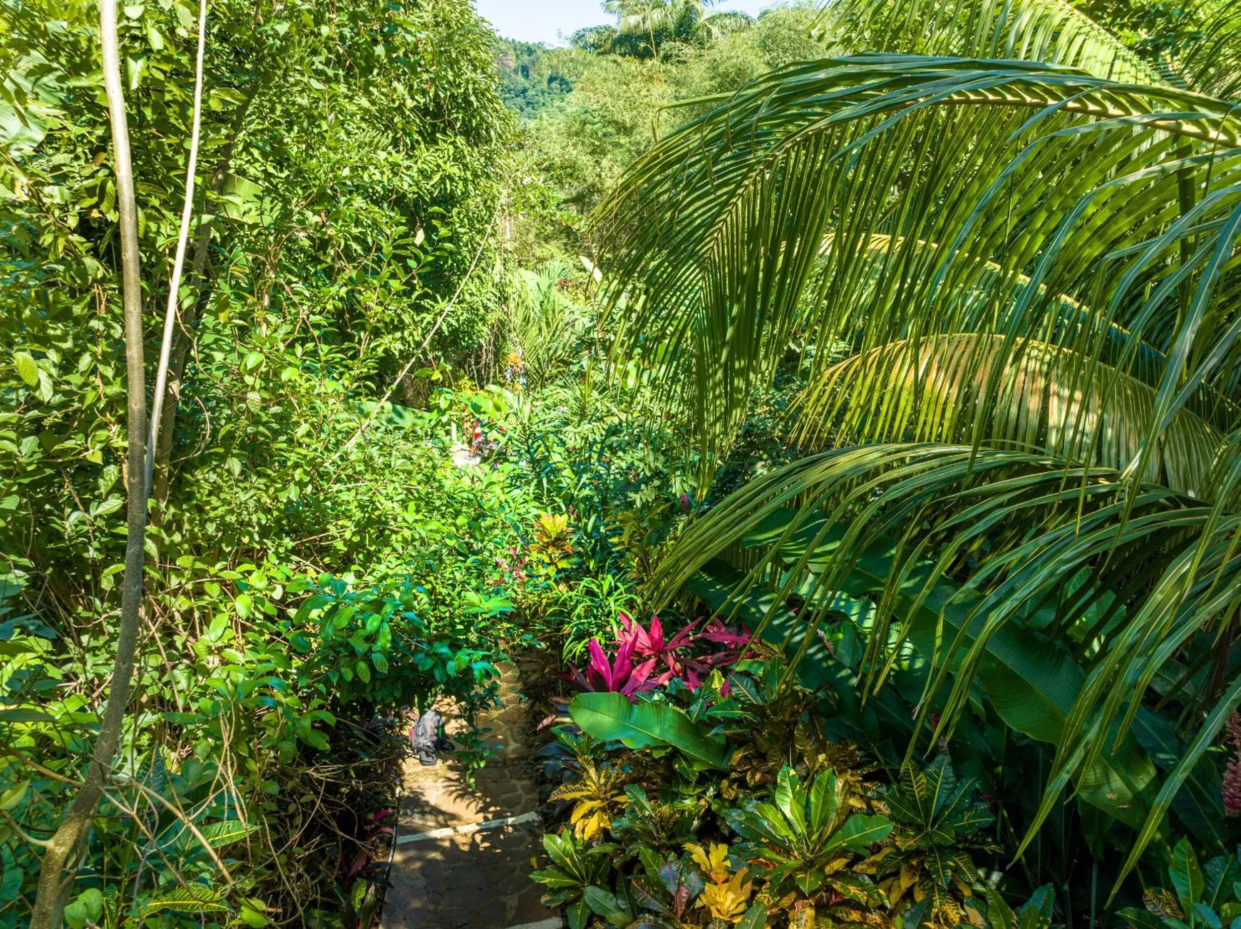 Natural landscape in Hibiscus Valley Inn