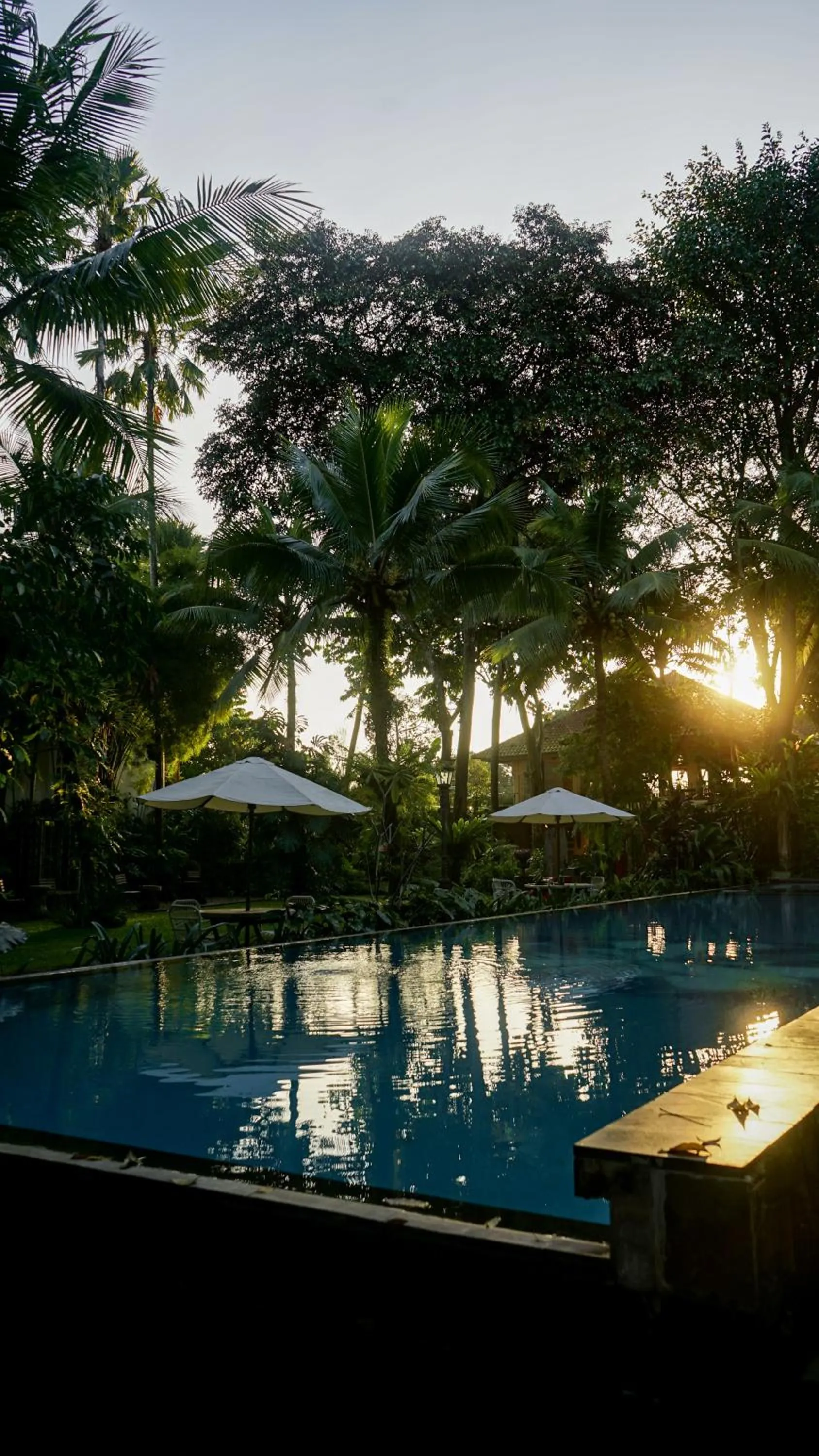 Swimming pool in Kayu Arum Resort