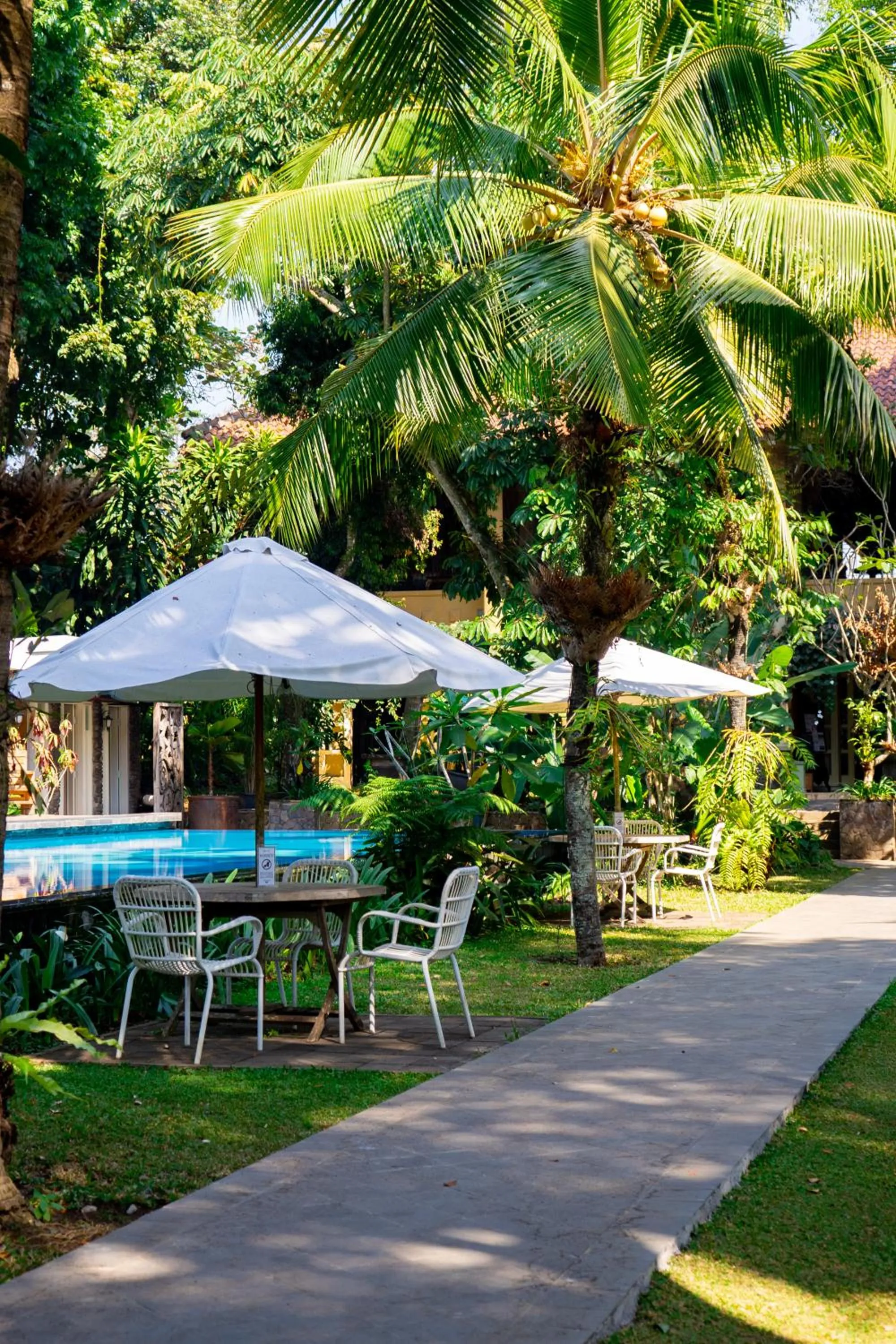 Swimming pool in Kayu Arum Resort