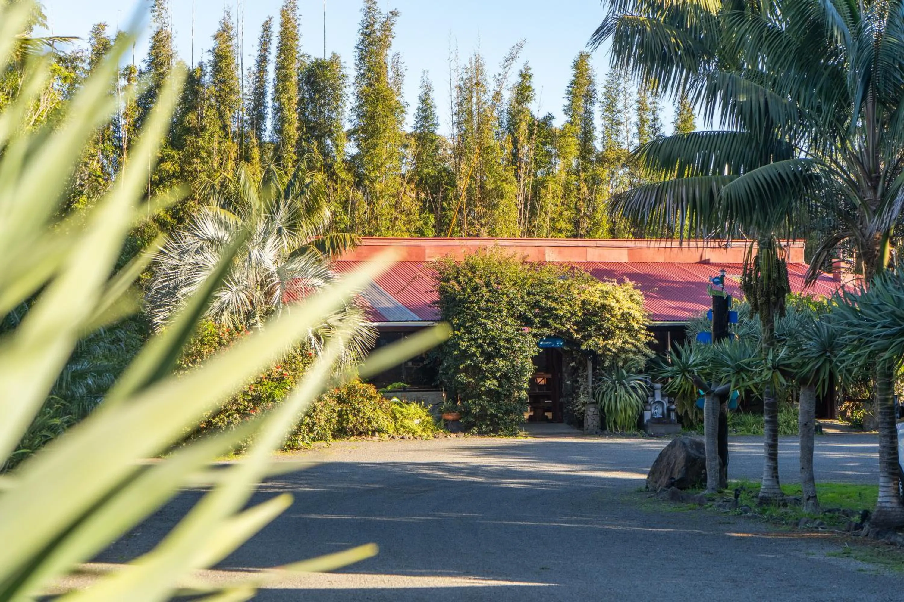 Natural landscape in Ahipara TOP 10 Holiday Park