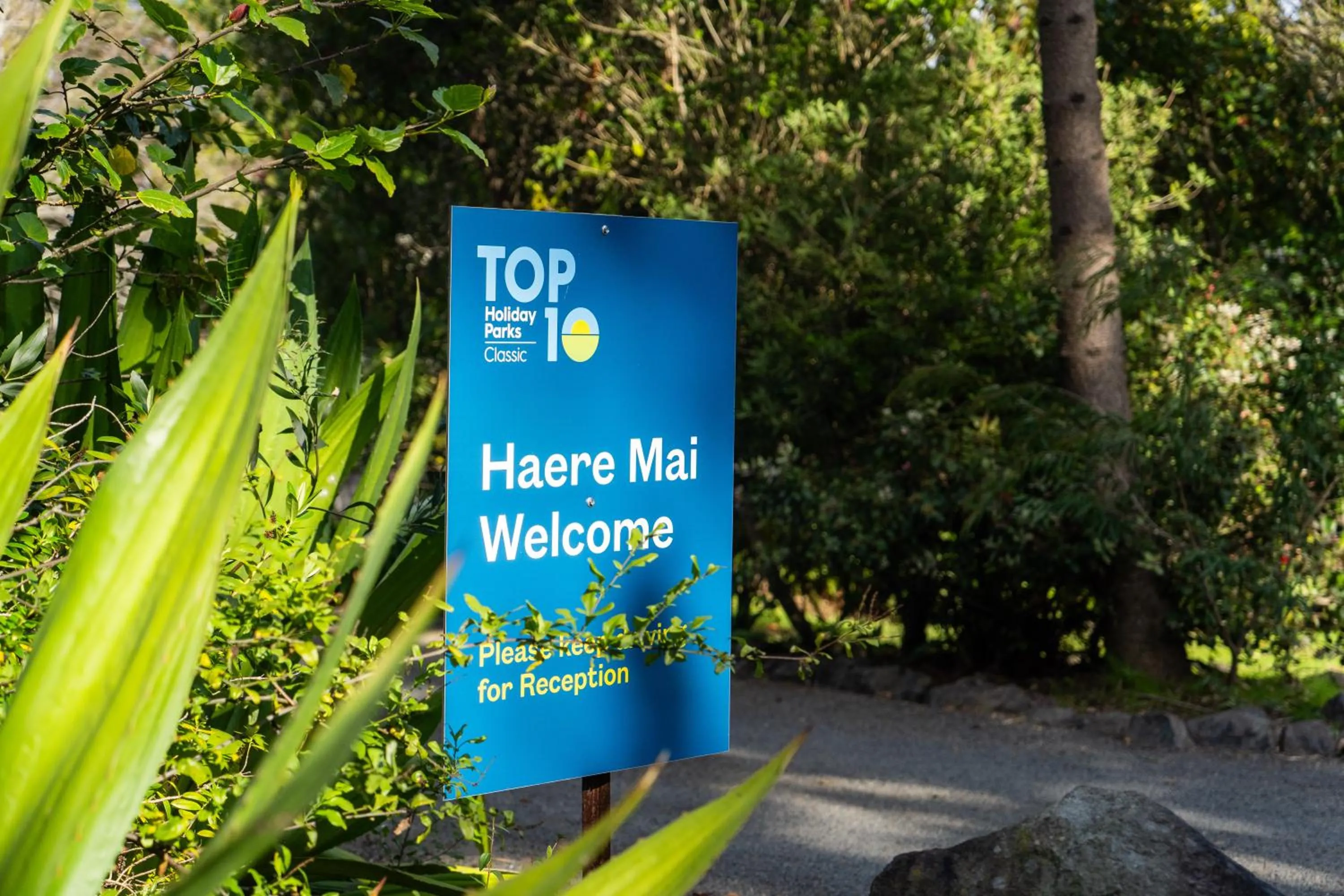 Property logo or sign in Ahipara TOP 10 Holiday Park