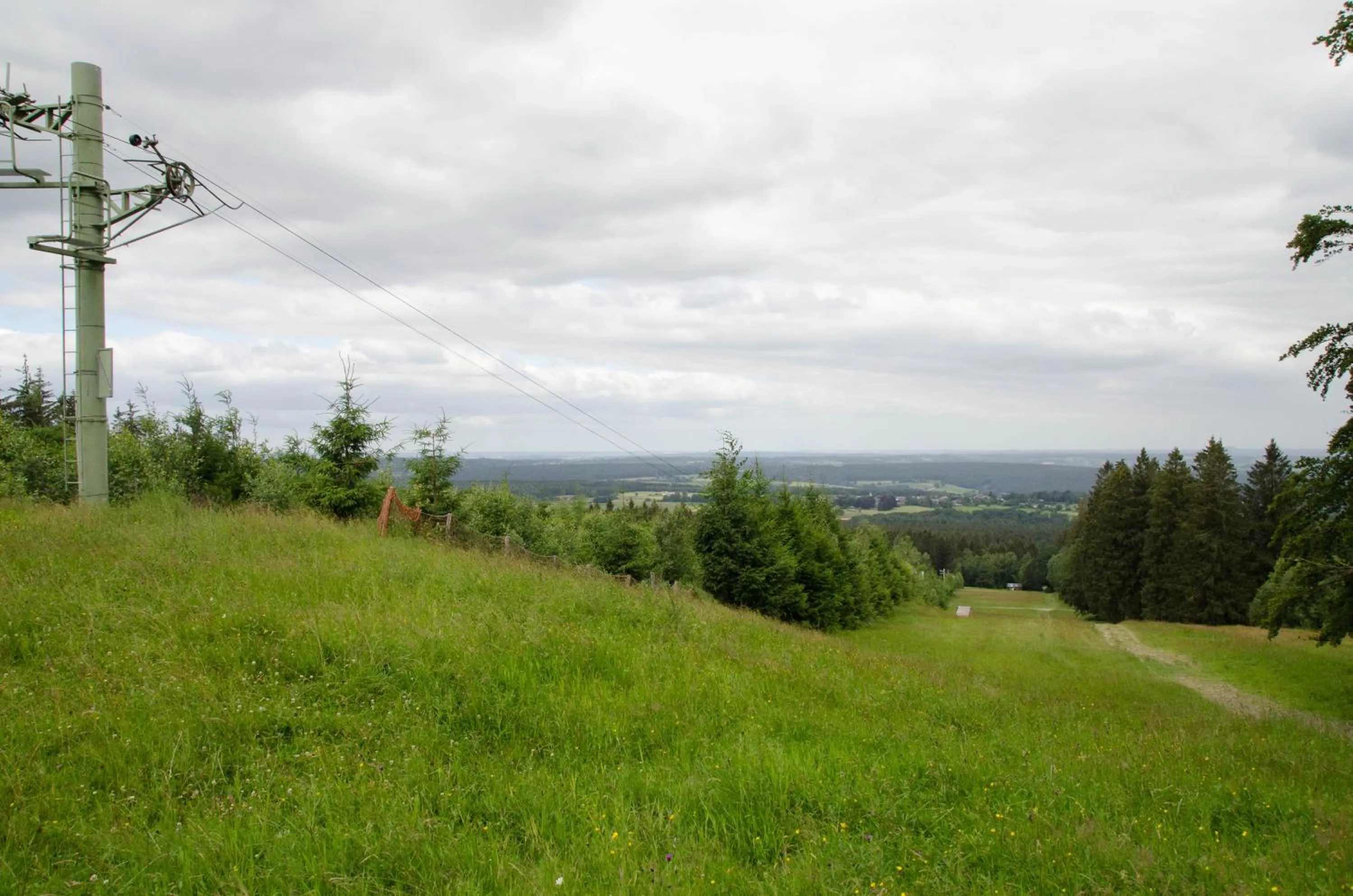 La Suite Des Pervenches