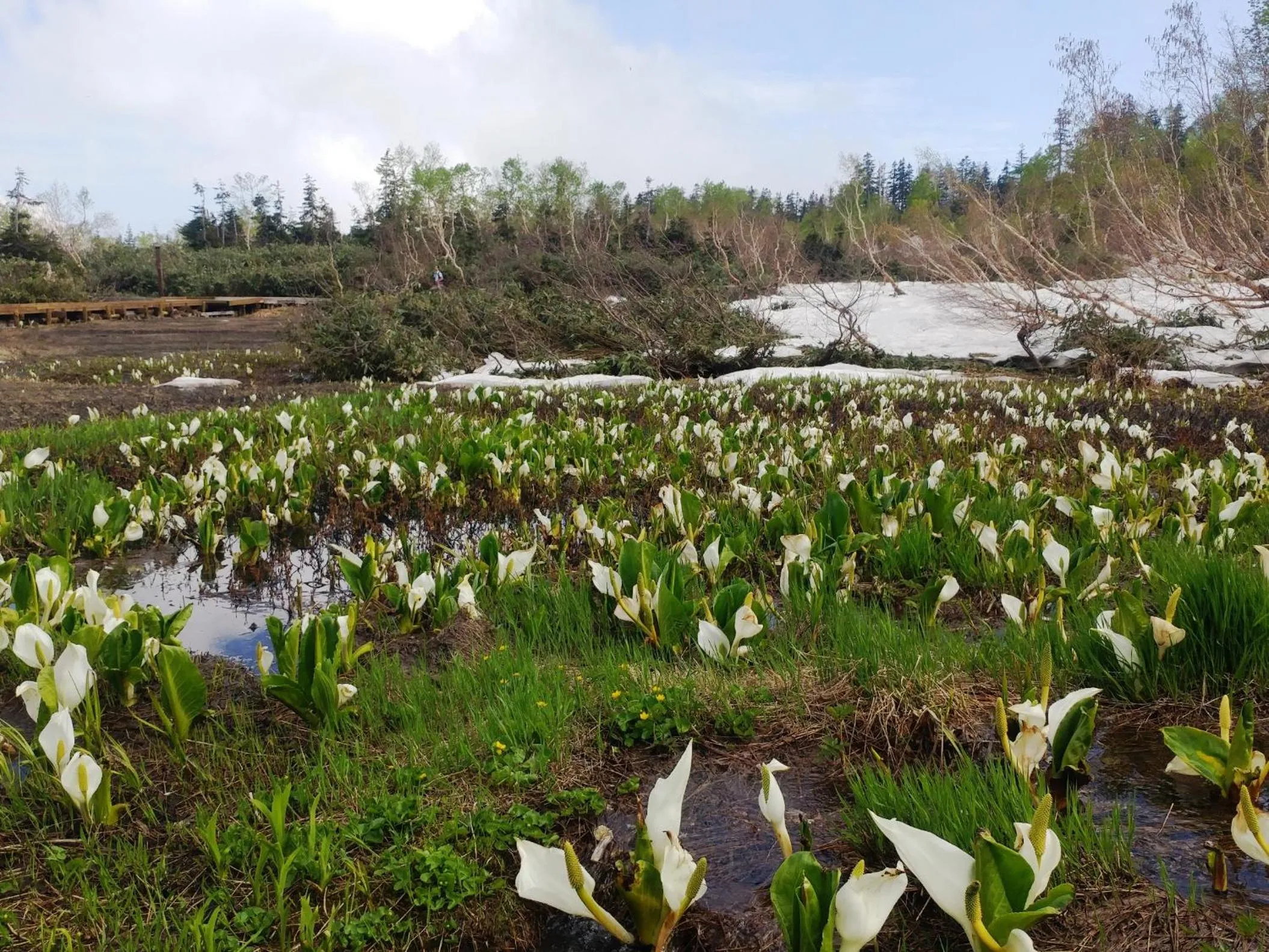 Natural landscape in Hotel Cerulean Alpine
