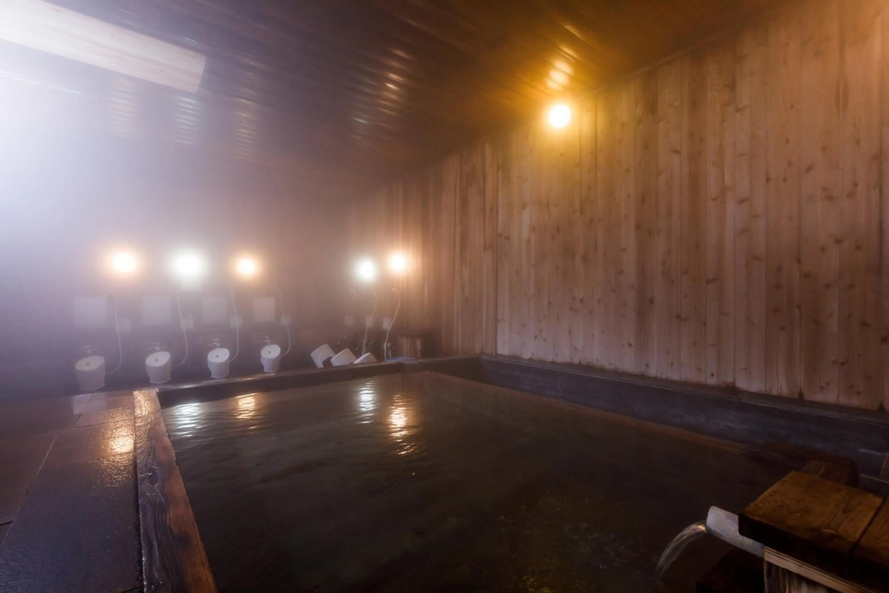 Public Bath in ホテルけやきの樹